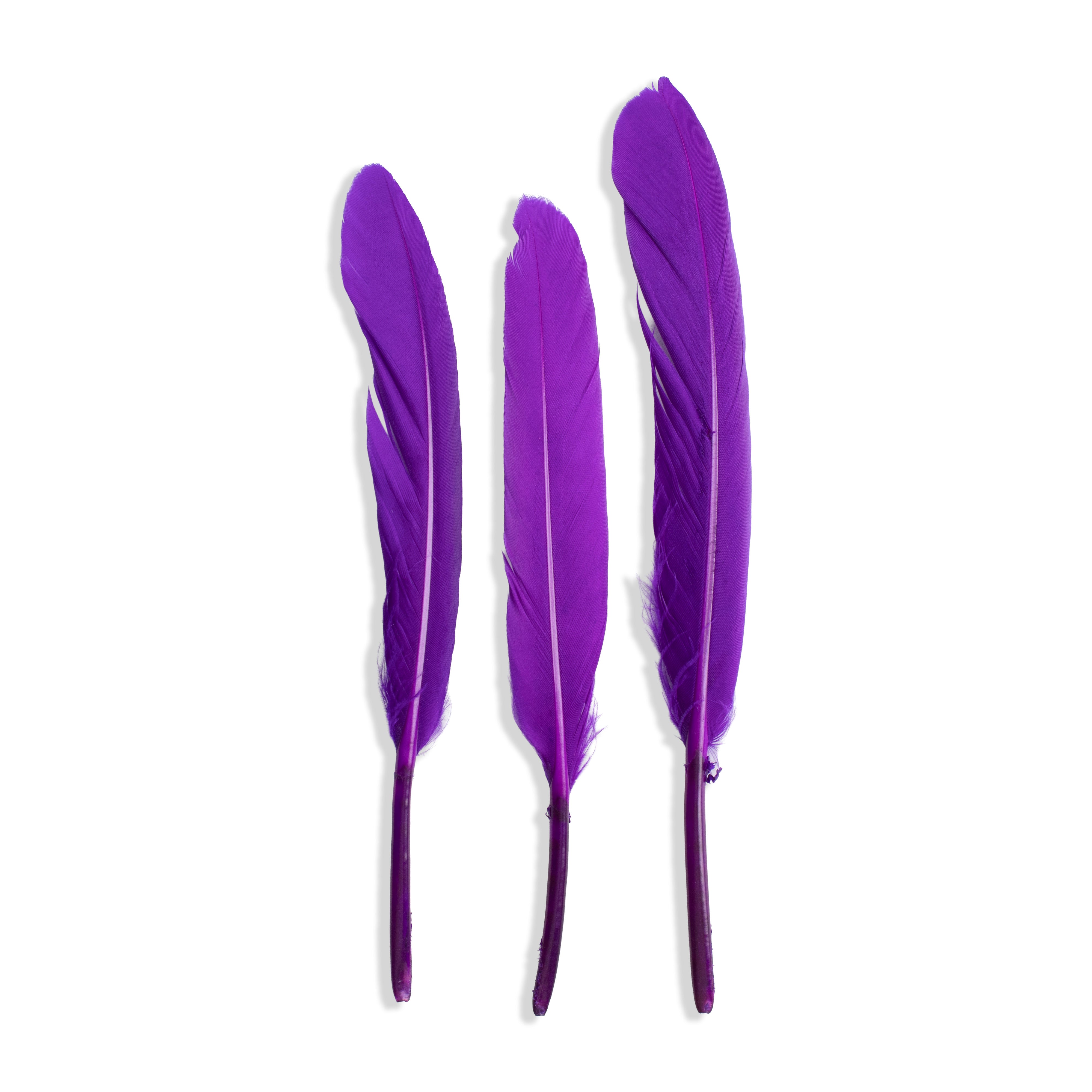 Goose Feathers Vibrant 10 to 15cm 20pc