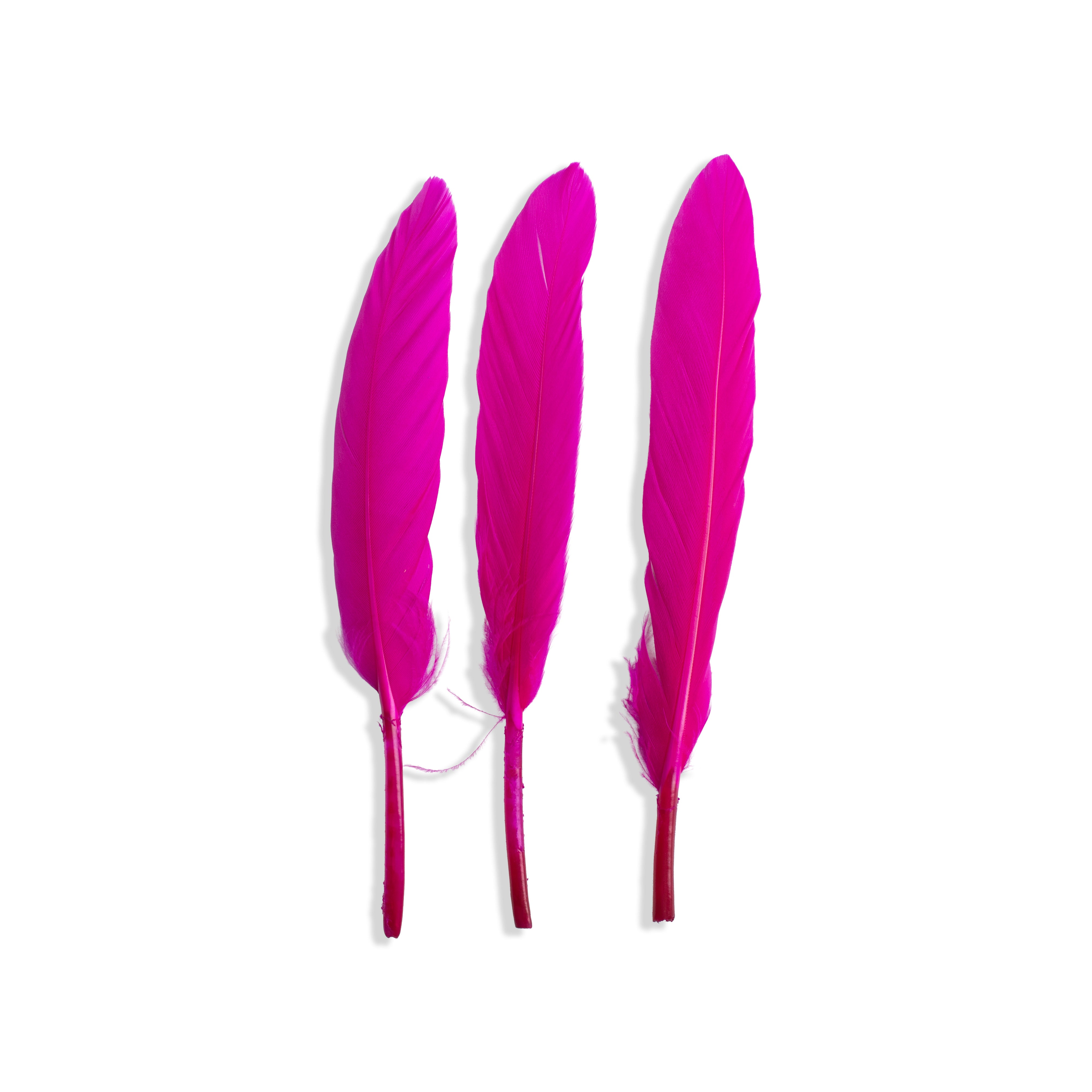 Goose Feathers Vibrant 10 to 15cm 20pc