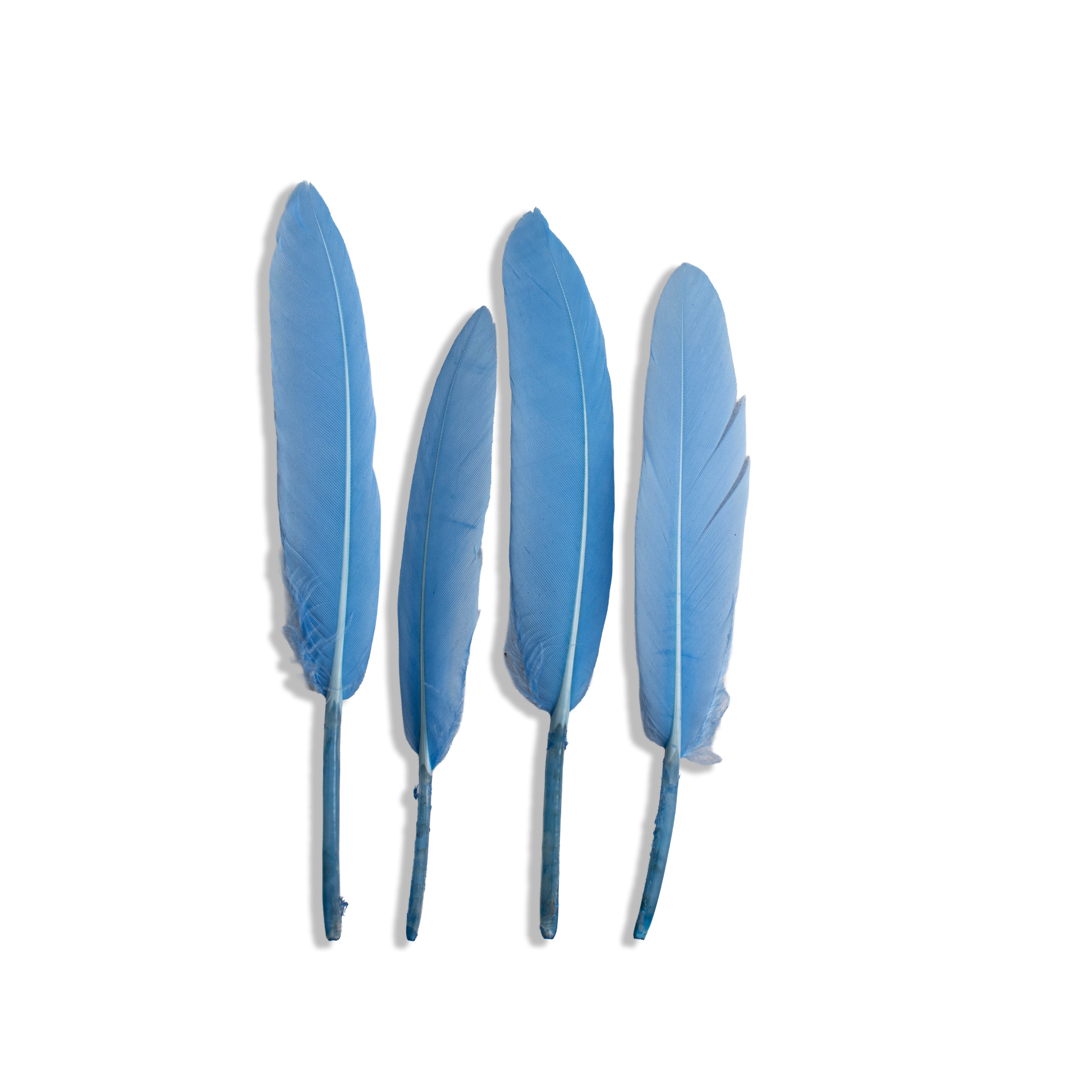Goose Feathers Pink & Blue 10 to 15cm 20pc