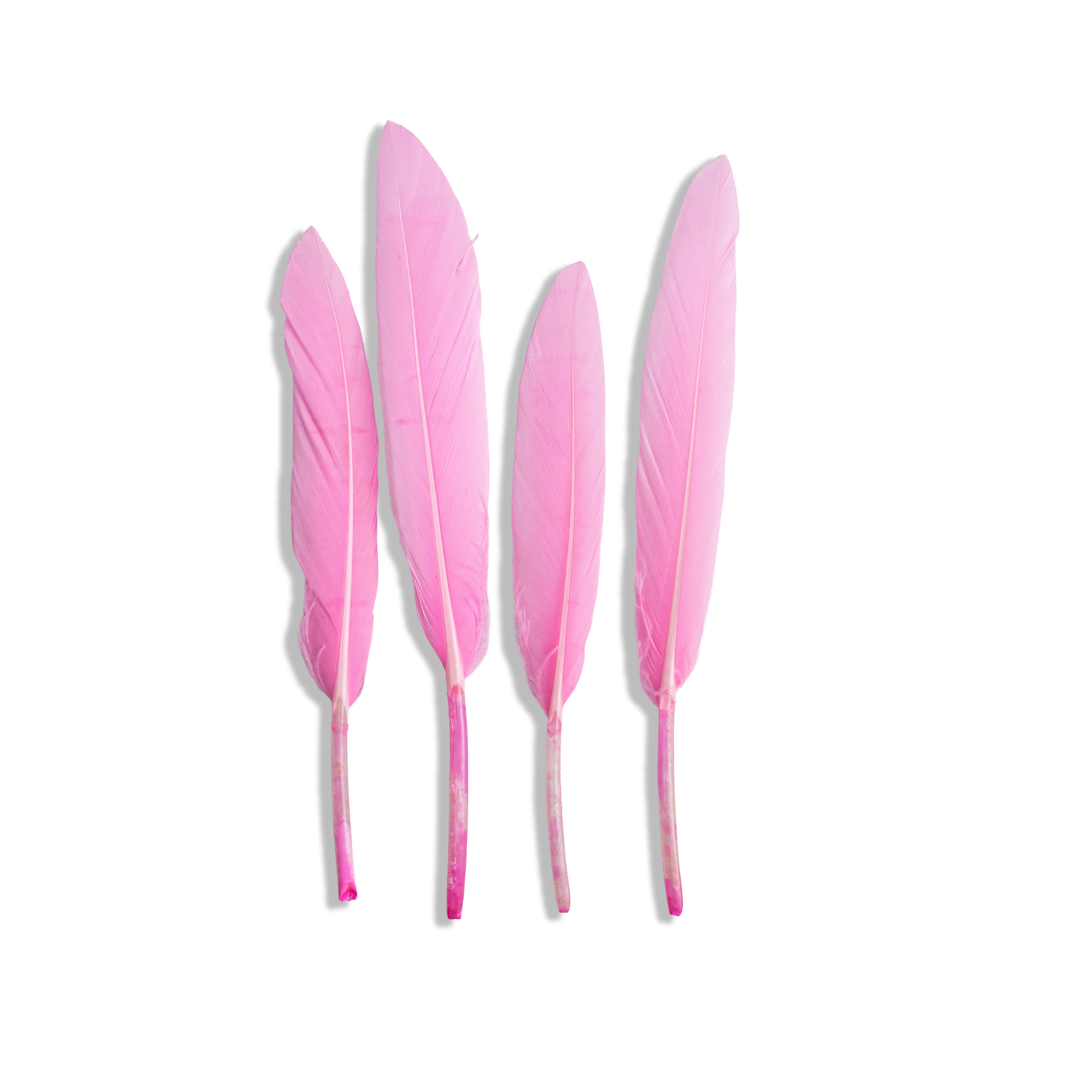 Goose Feathers Pink & Blue 10 to 15cm 20pc