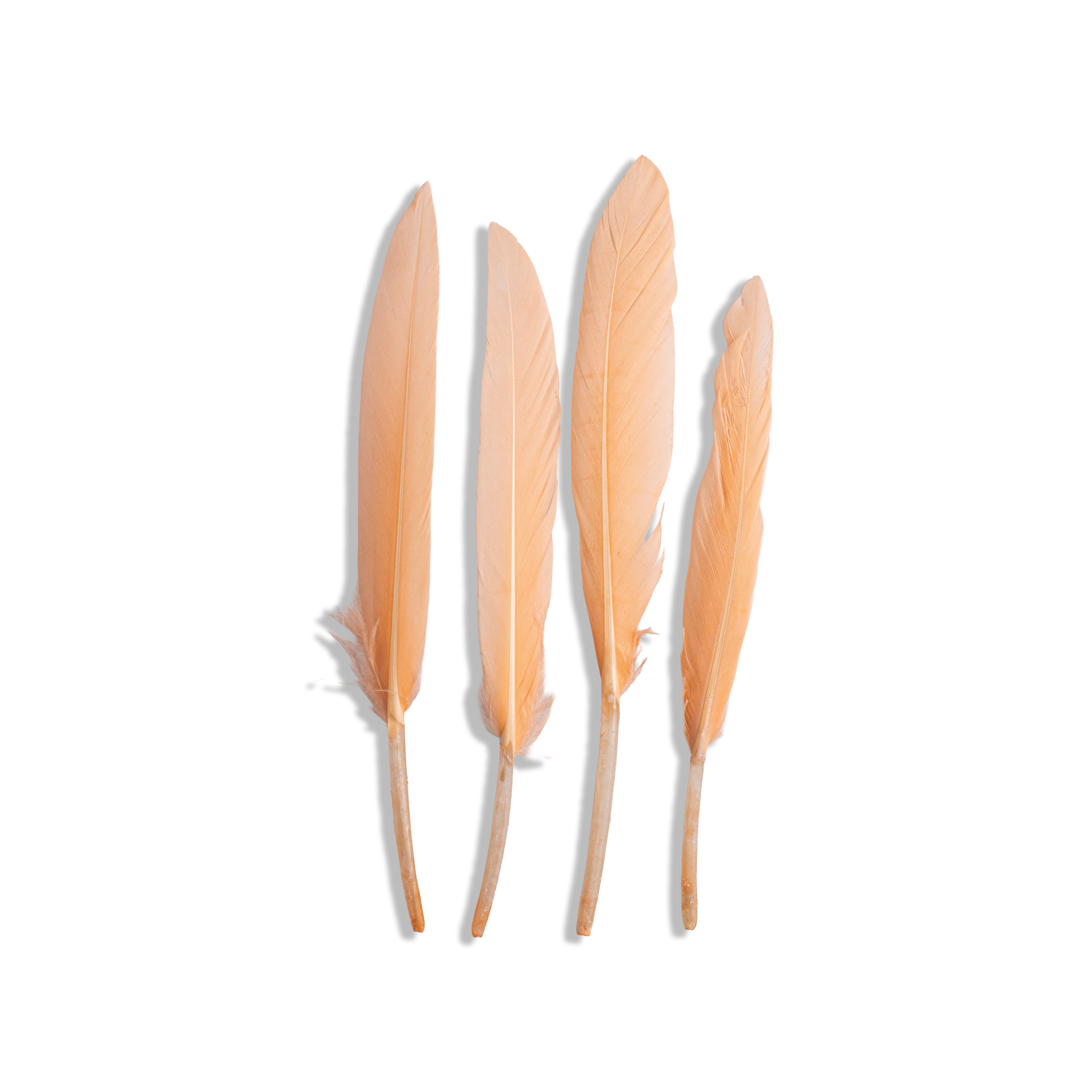 Goose Feathers Pink & Blue 10 to 15cm 20pc