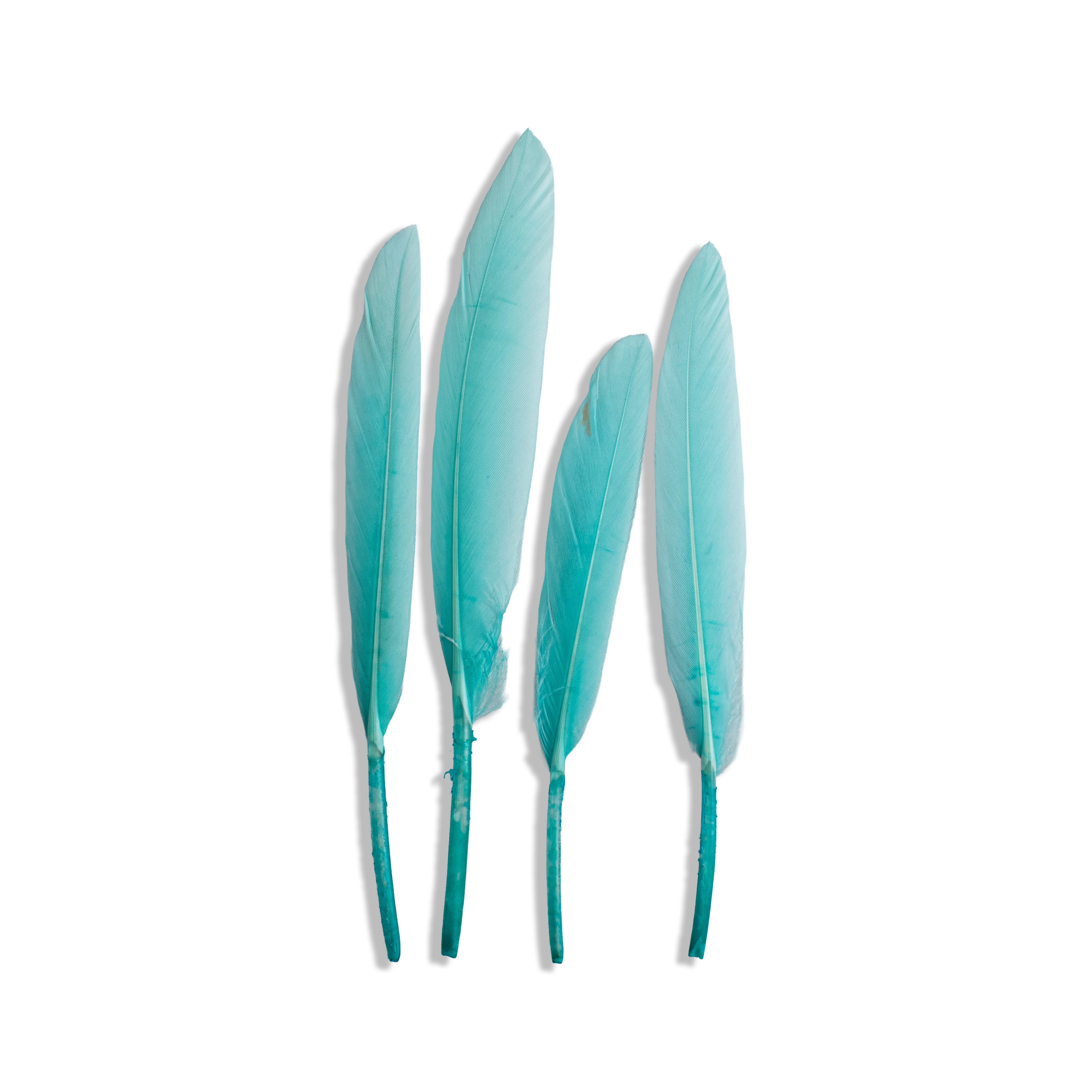 Goose Feathers Pink & Blue 10 to 15cm 20pc