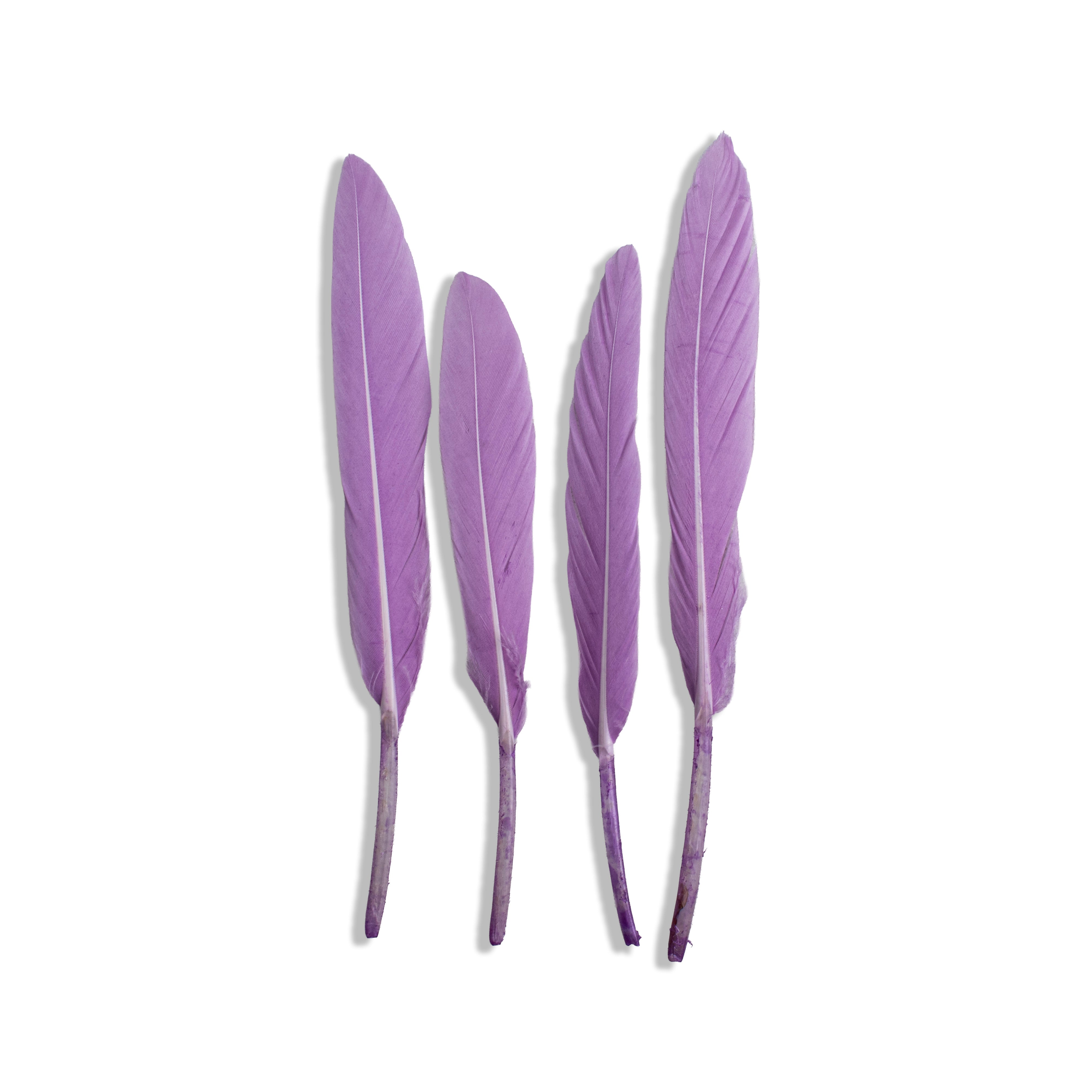 Goose Feathers Pink & Blue 10 to 15cm 20pc