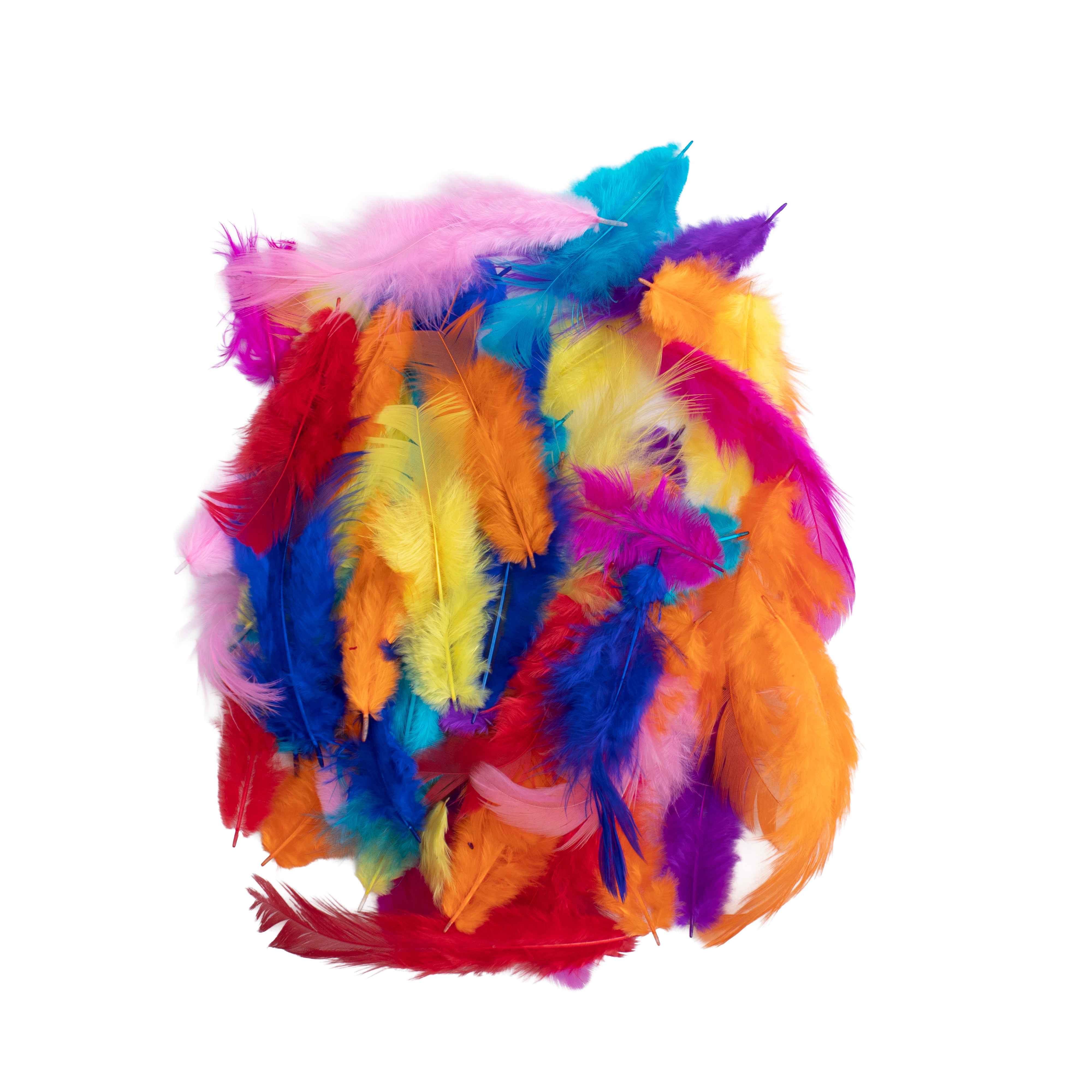 Rooster Feathers Bright 10 to 15cm 16gm