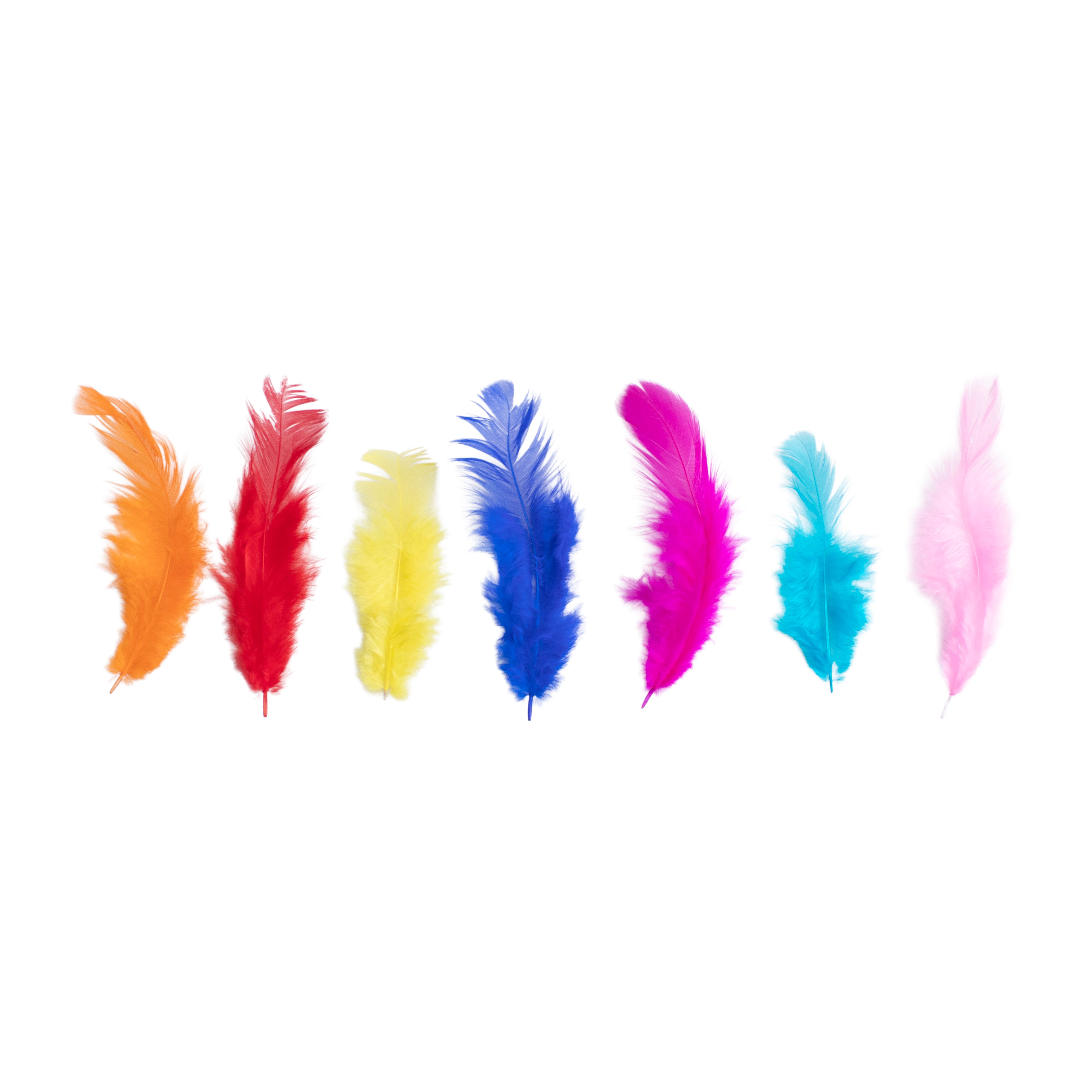 Rooster Feathers Bright 10 to 15cm 16gm