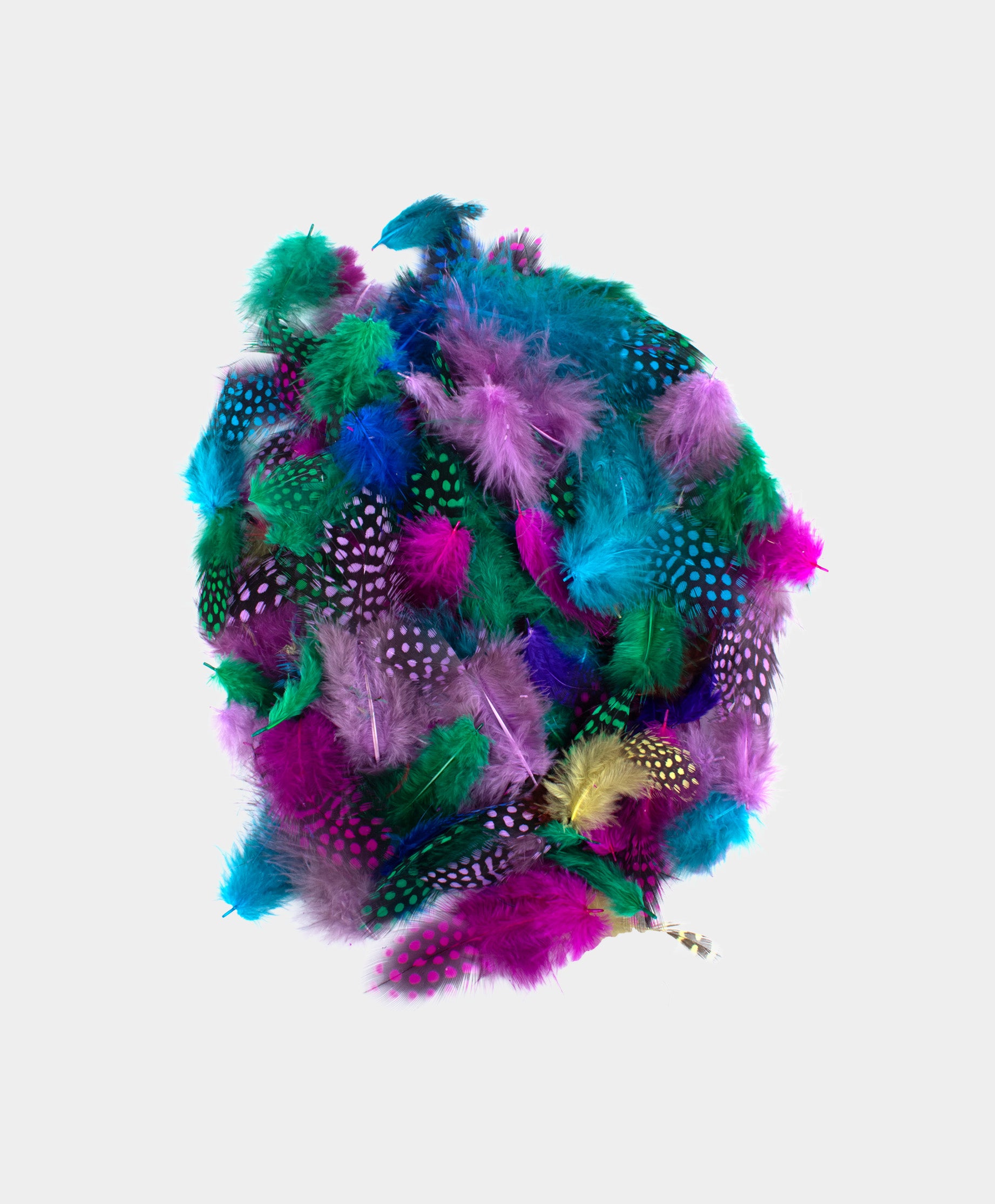 Guinea Fowl Feathers Assorted Colours 5 to 12cm 5gm