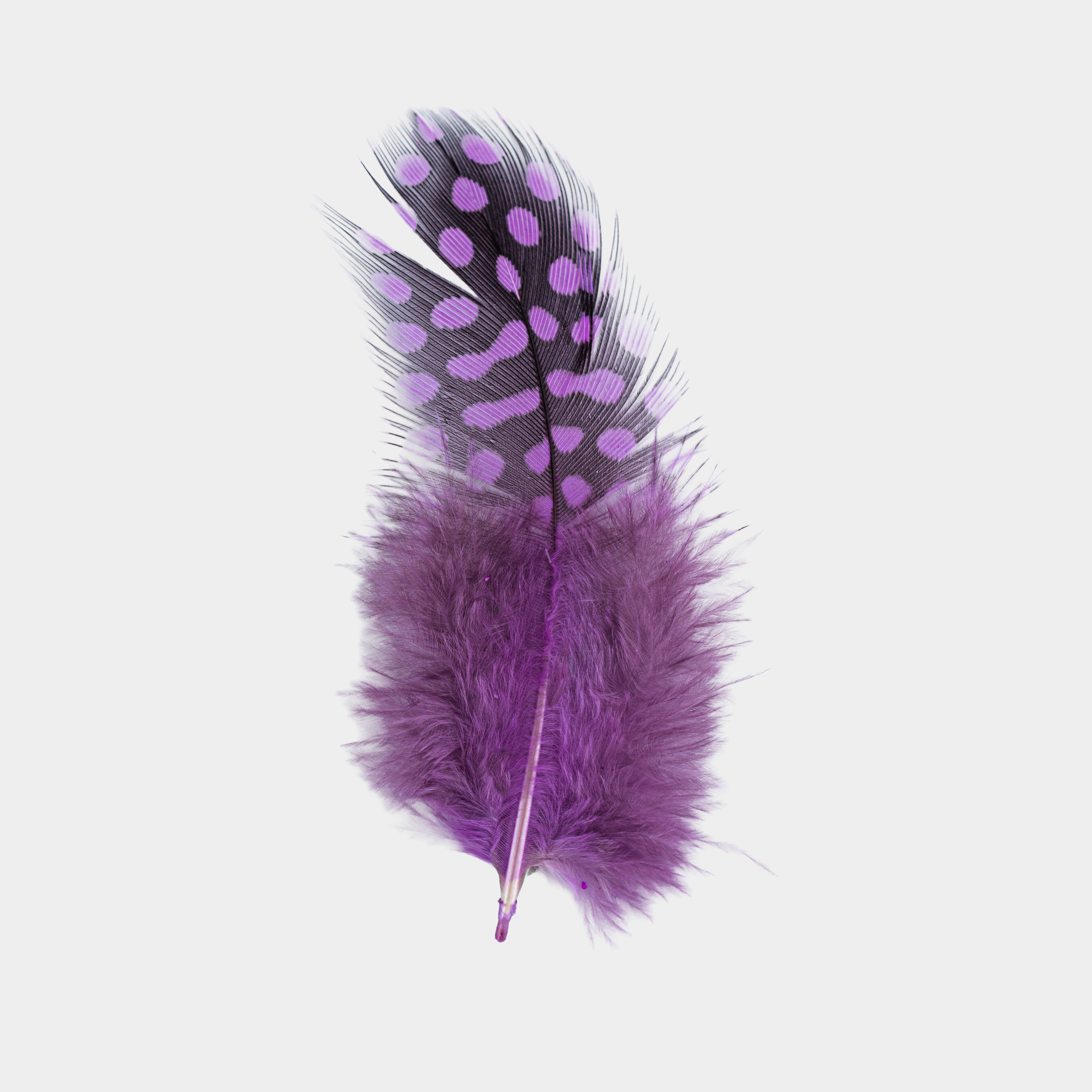Guinea Fowl Feathers Assorted Colours 5 to 12cm 5gm