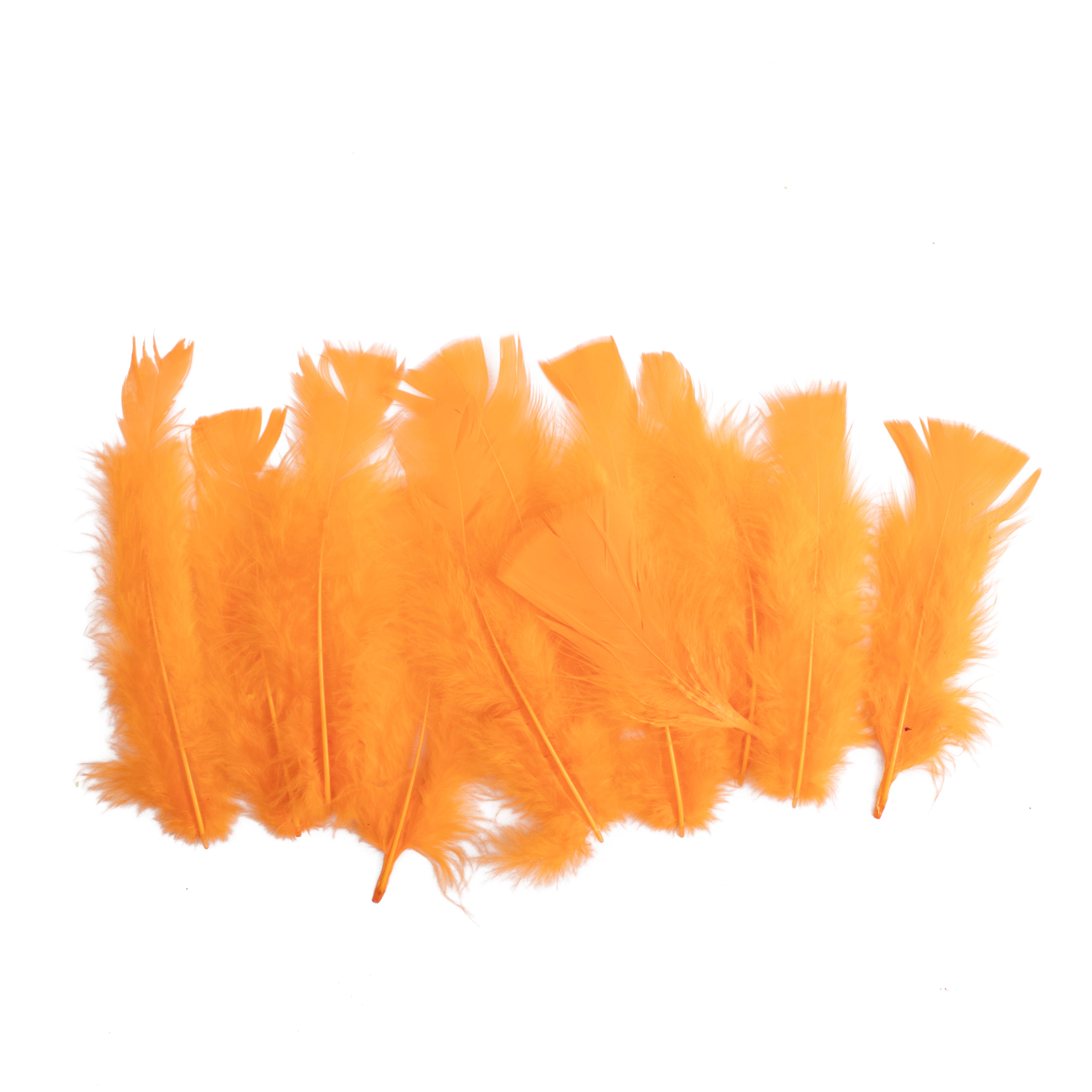 Long Turkey Feathers Bright 10 to 15cm 10gm