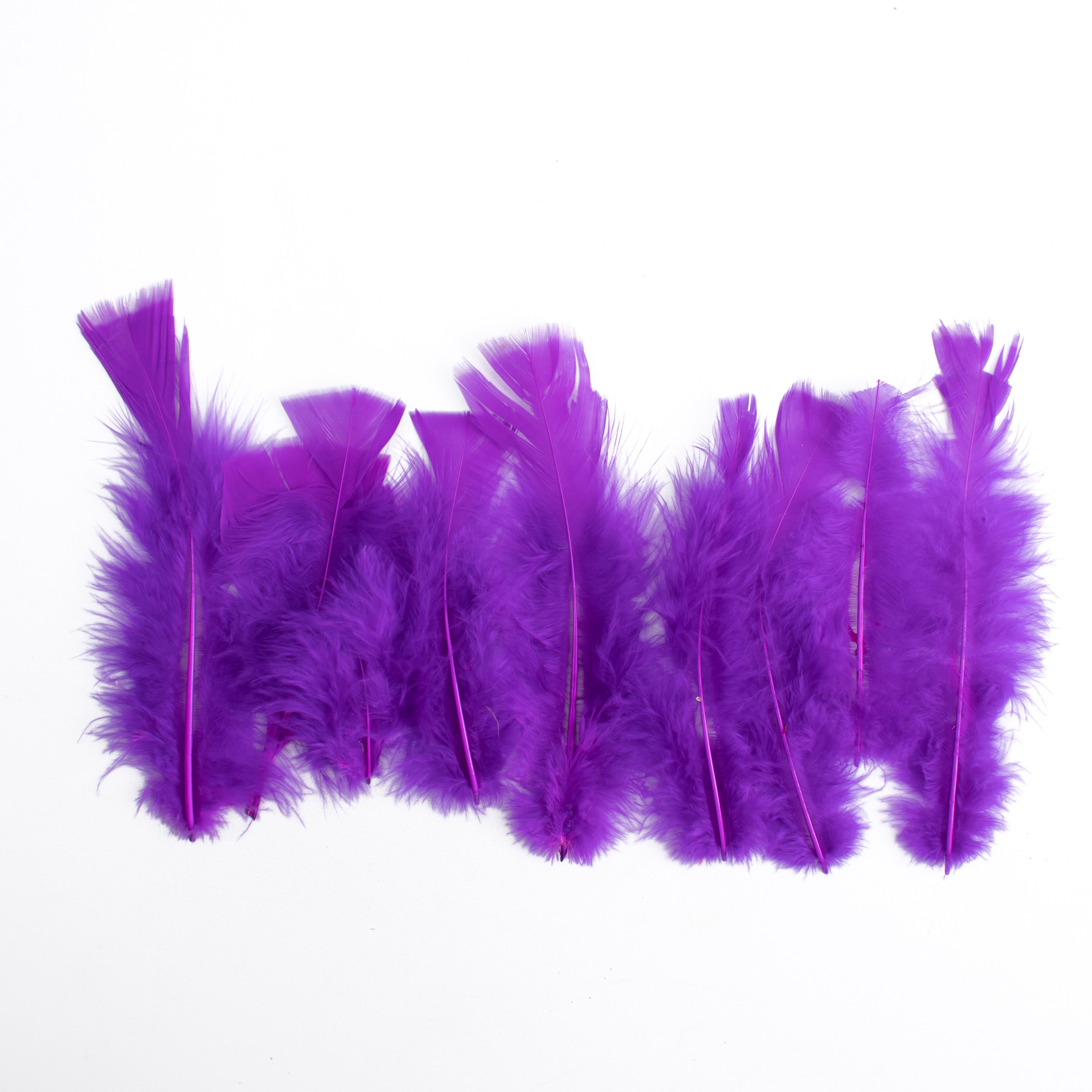 Long Turkey Feathers Bright 10 to 15cm 10gm