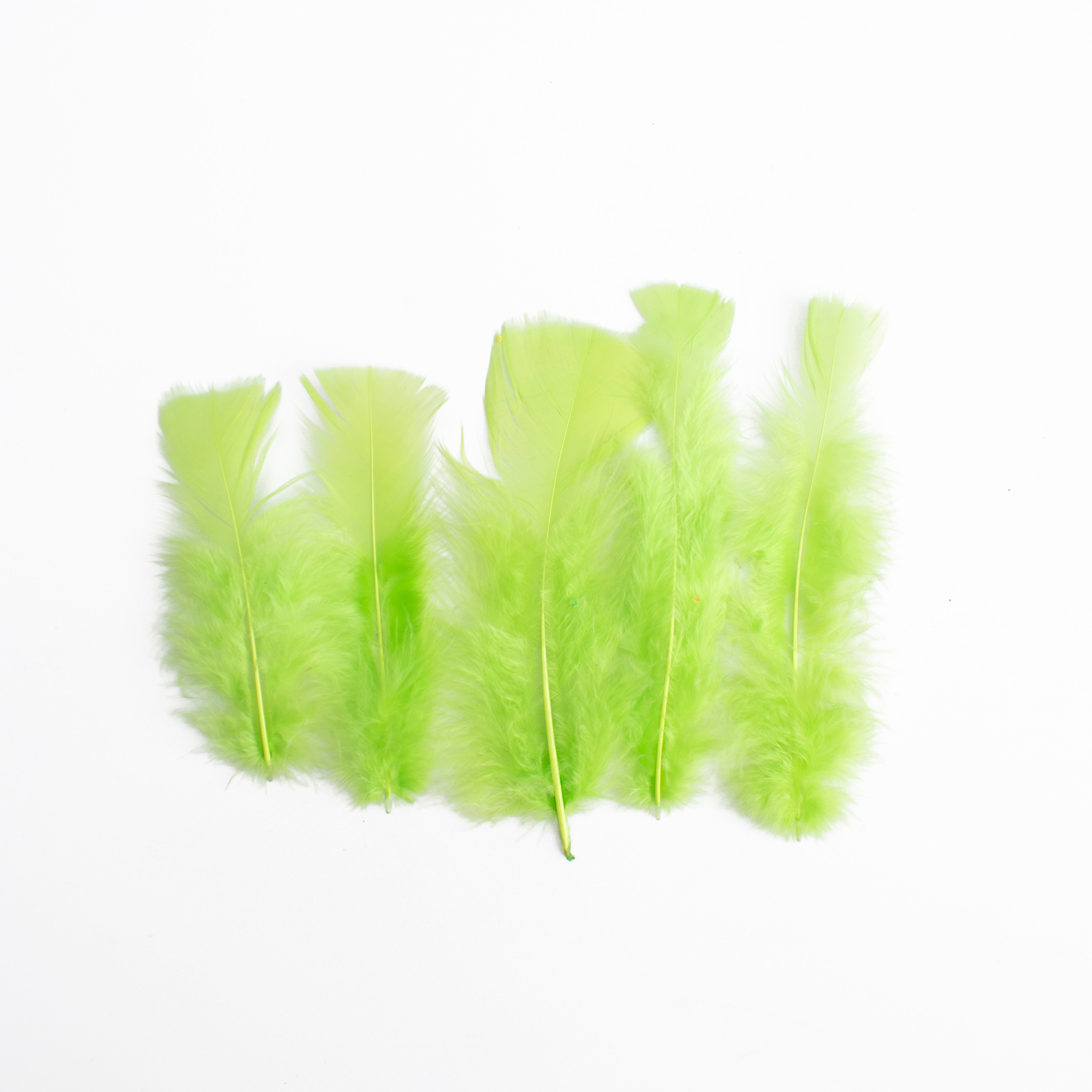 Long Turkey Feathers Bright 10 to 15cm 10gm