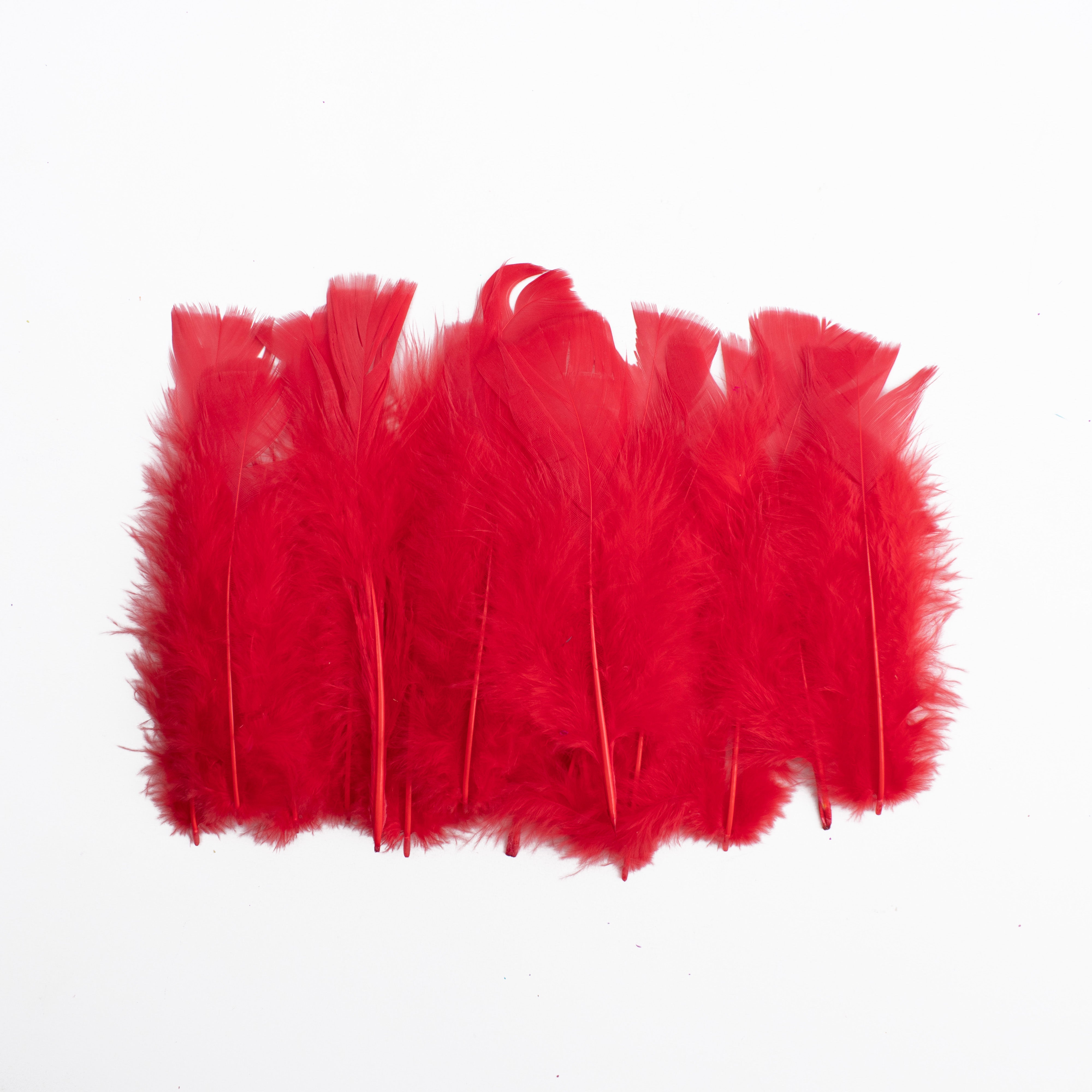 Long Turkey Feathers Bright 10 to 15cm 10gm