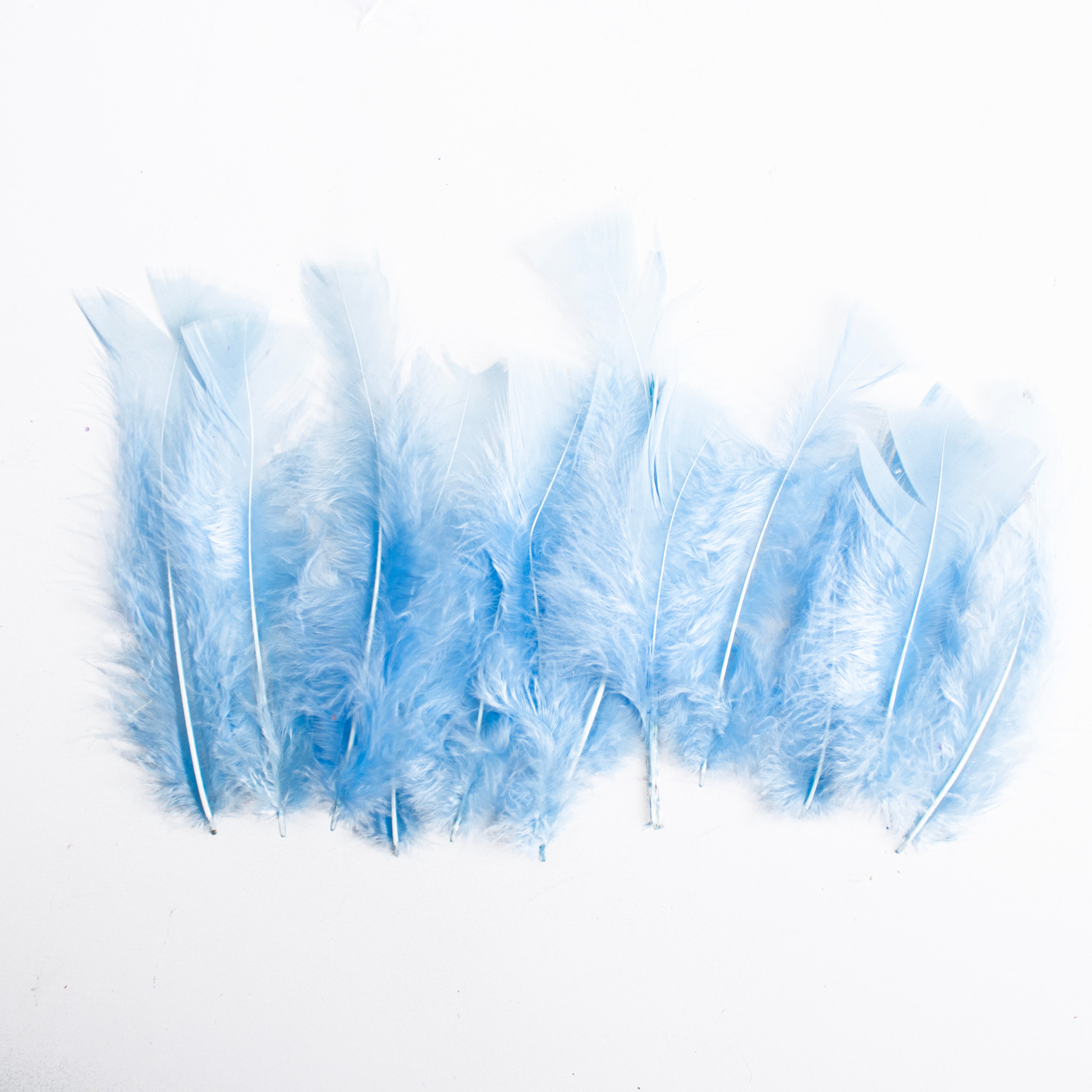 Long Turkey Feathers Pastel 10 to 15cm 16gm