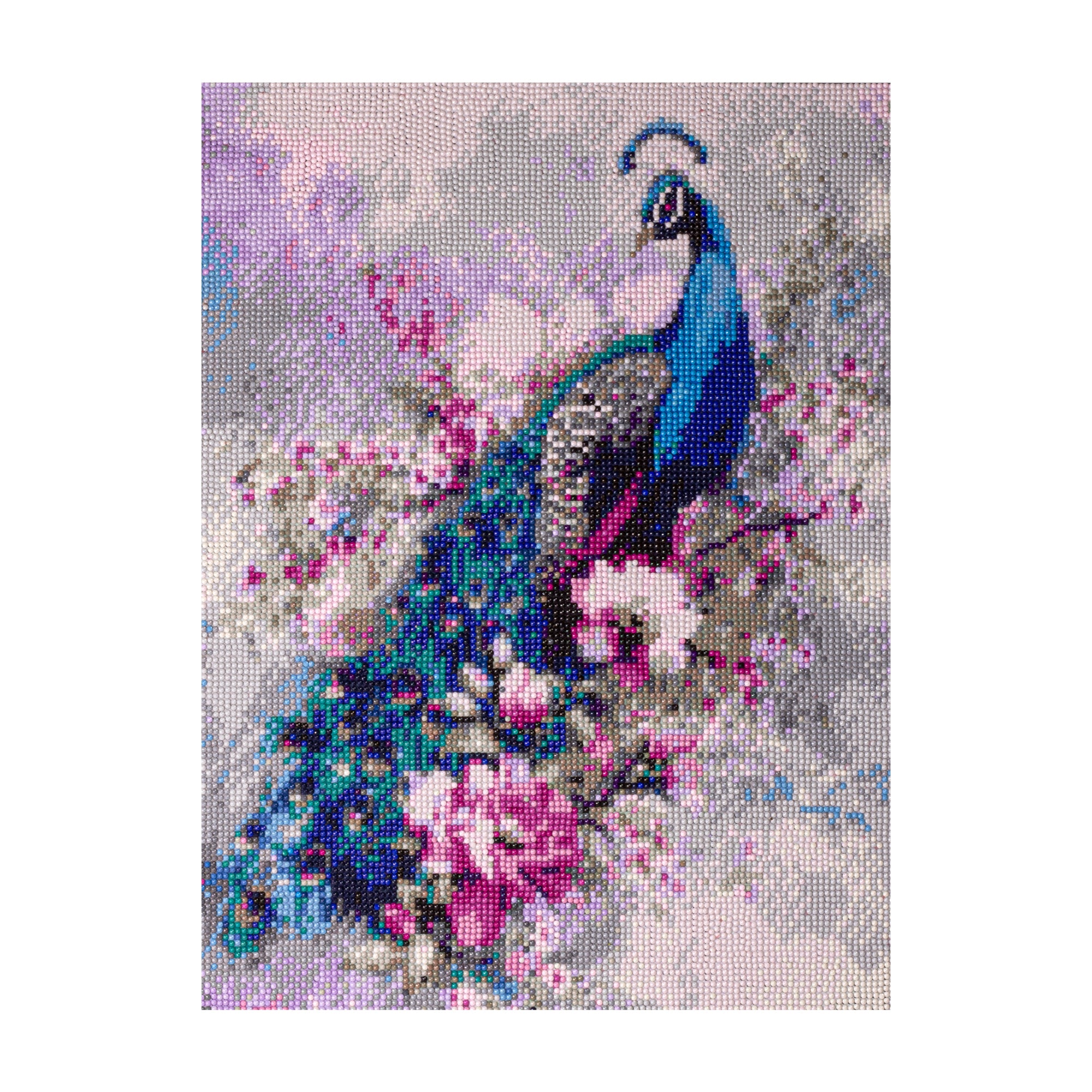 (40 x 50 cm) - 5D Diamond Painting - Peacock Grace + Matching Frame Combo
