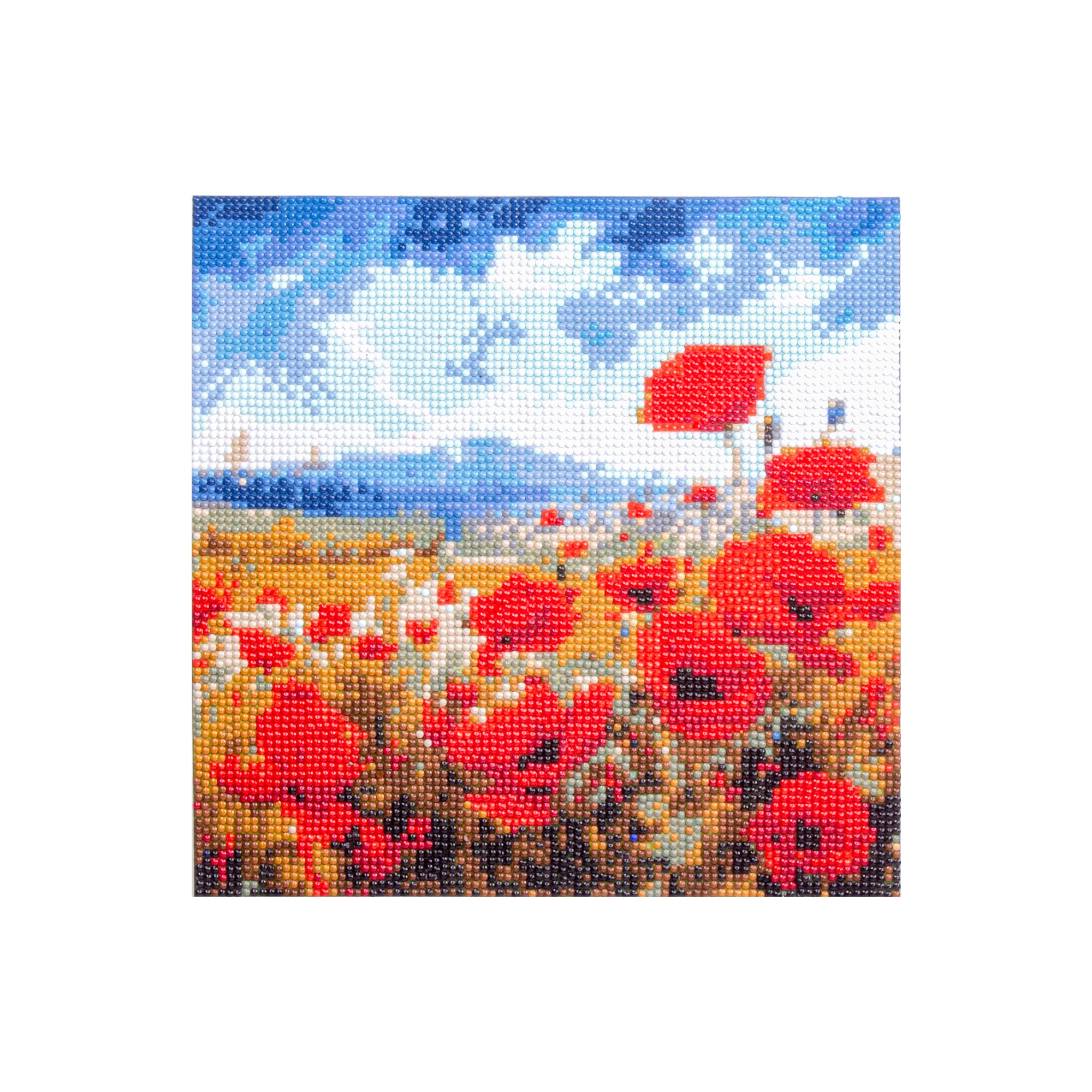 (30 X 30 cm) - 5D Diamond Painting - Poppy Garden + Matching Frame Combo