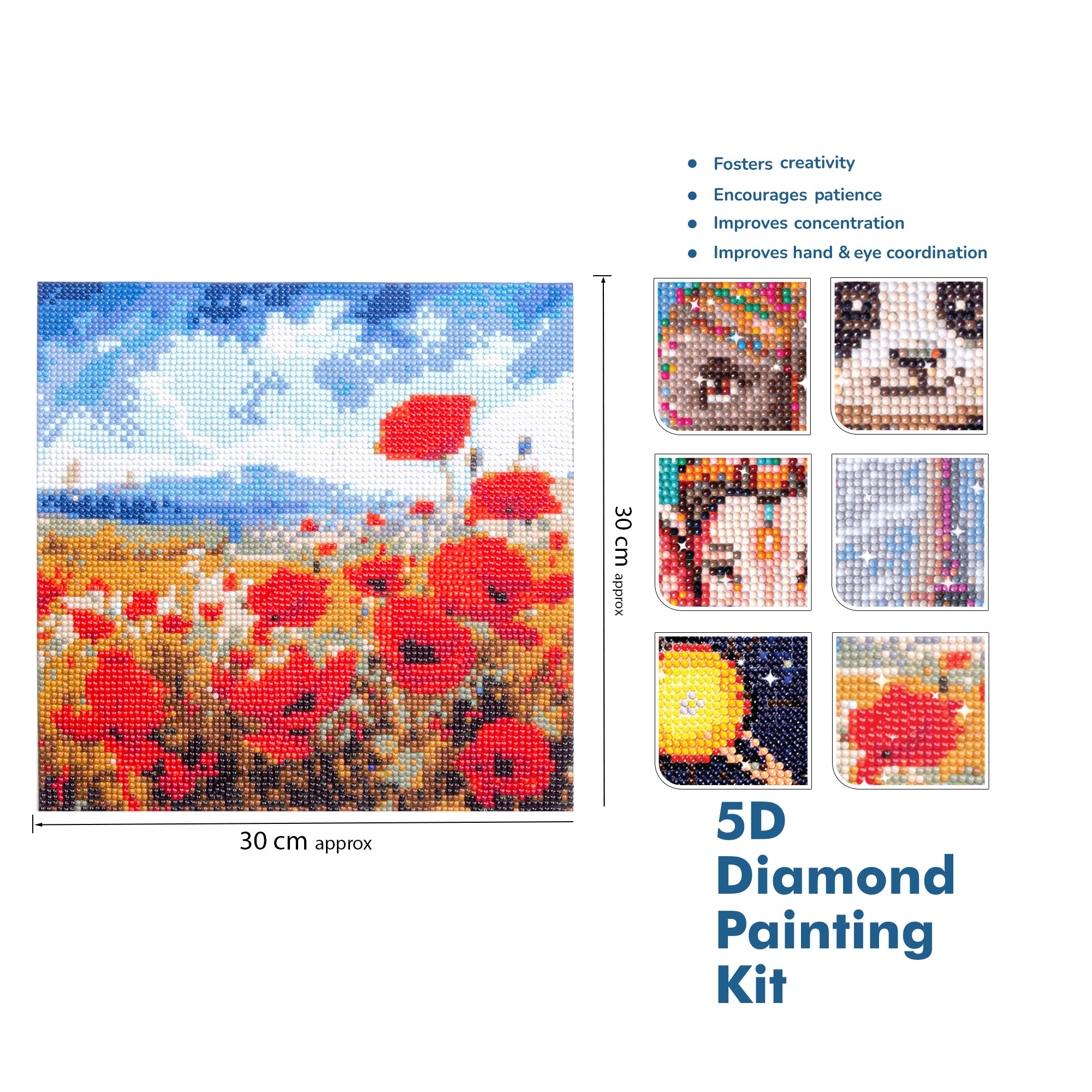 (30 X 30 cm) - 5D Diamond Painting - Poppy Garden + Matching Frame Combo