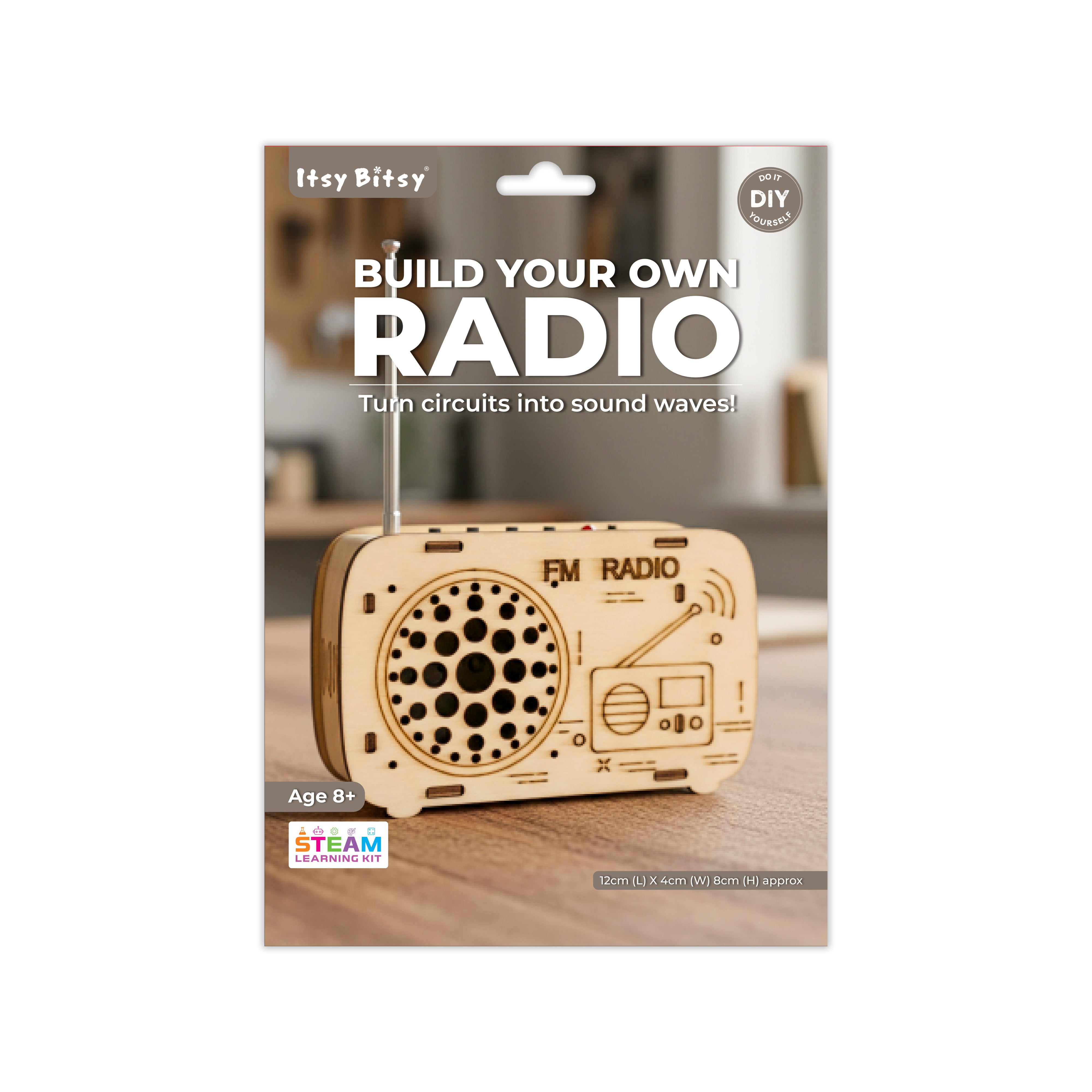 DIY Build Your Own Radio
