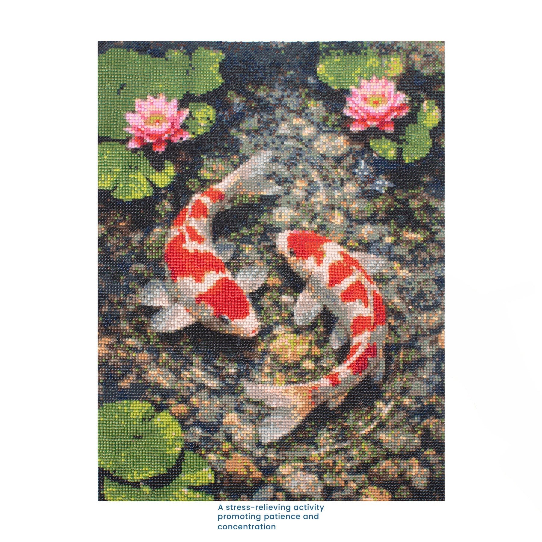 5D Diamond Painting Kit Koi Pond 40 X 50cm 1pc Acetate Box