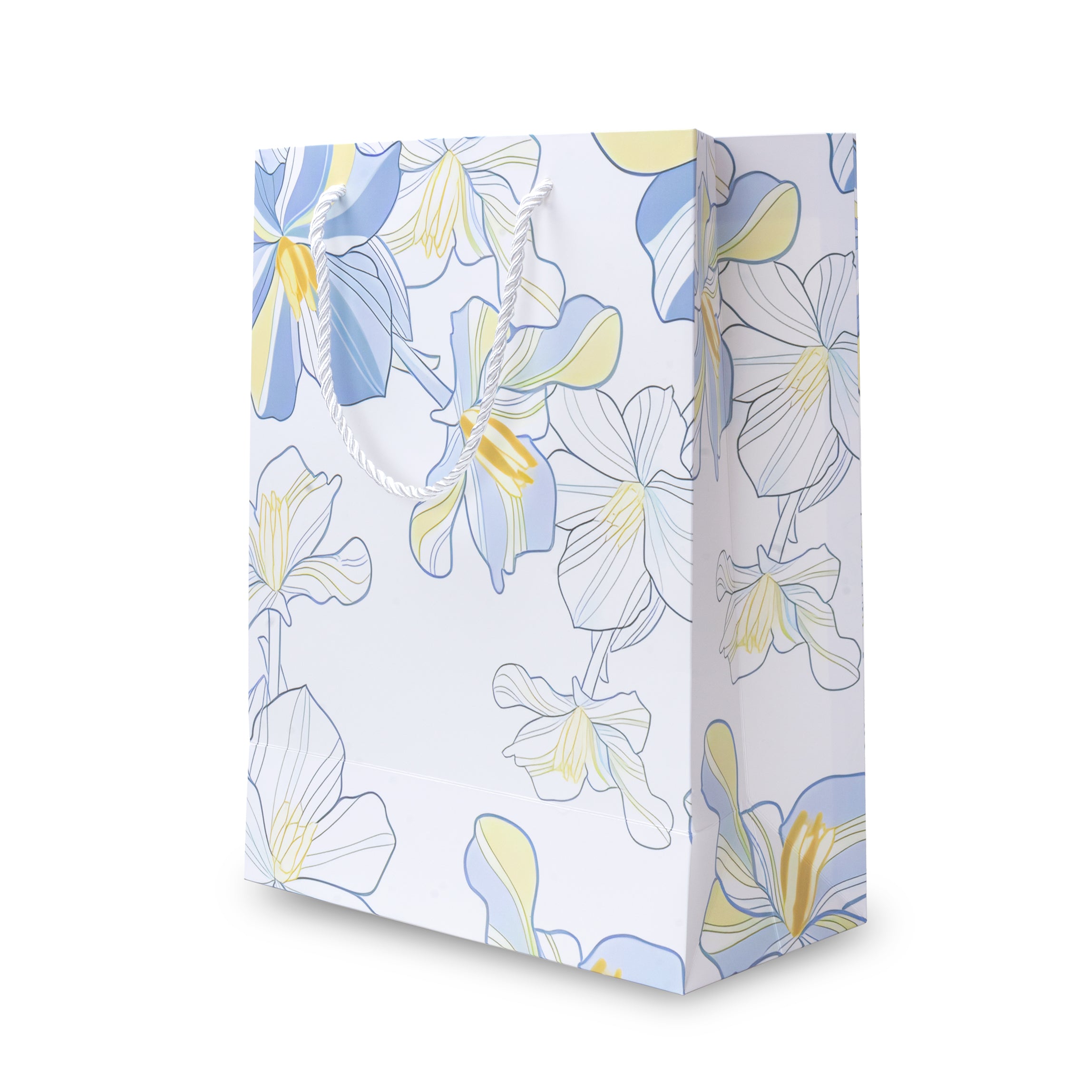 Paper Gift Bag Iris Valley 13x10inch 1pc