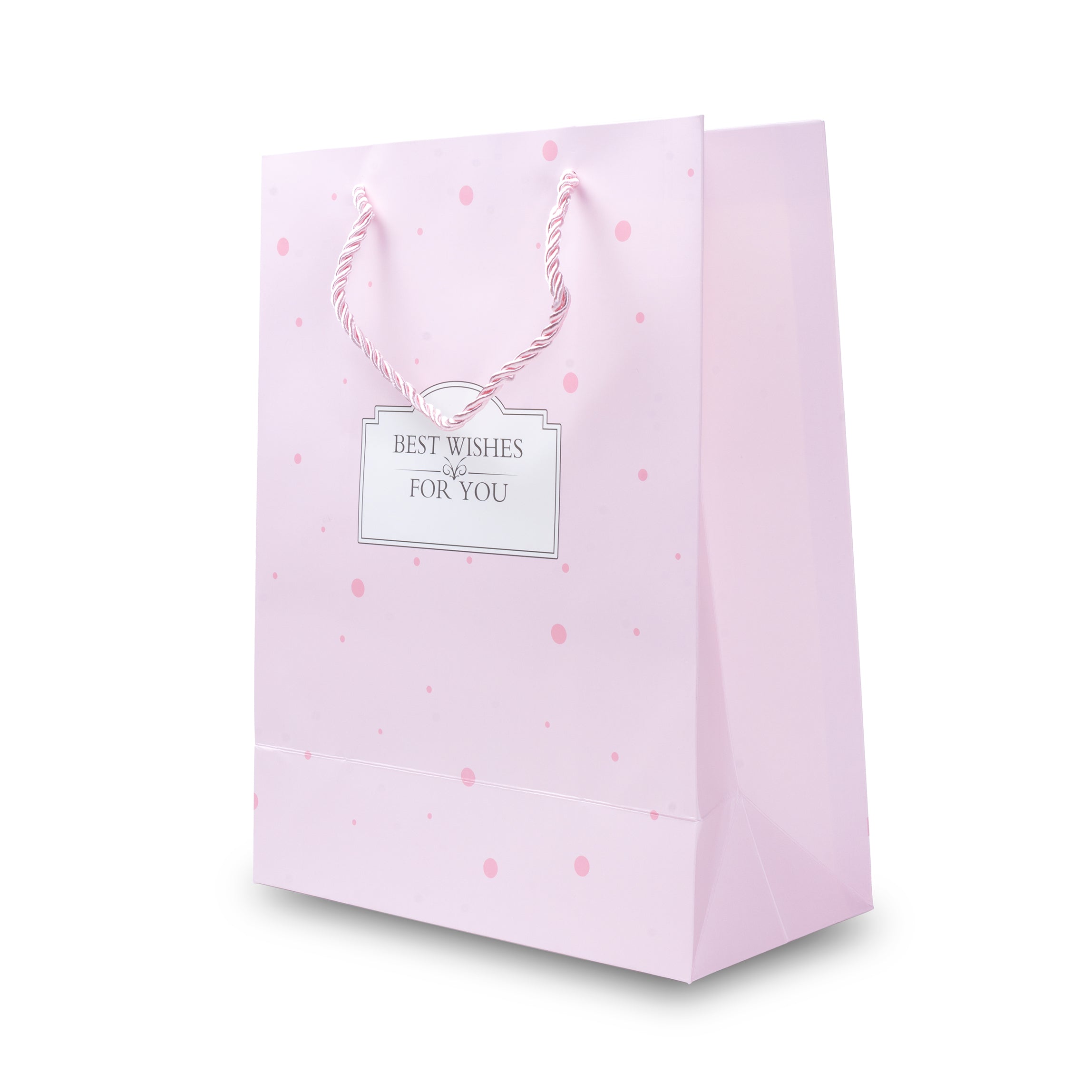 Paper Gift Bag Best Wishes 7.5x9.5inch 1pc