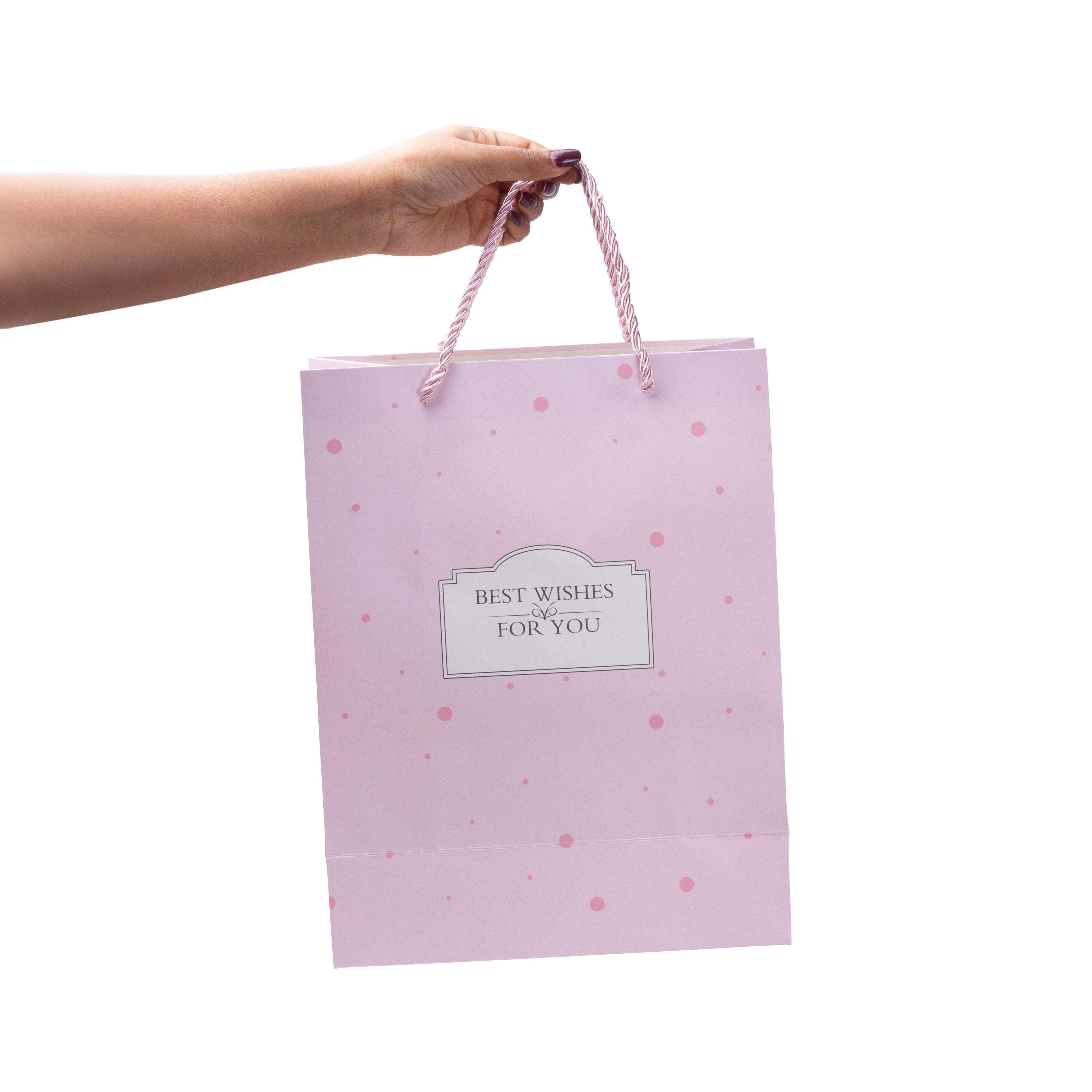 Paper Gift Bag Best Wishes 13x10inch 1pc