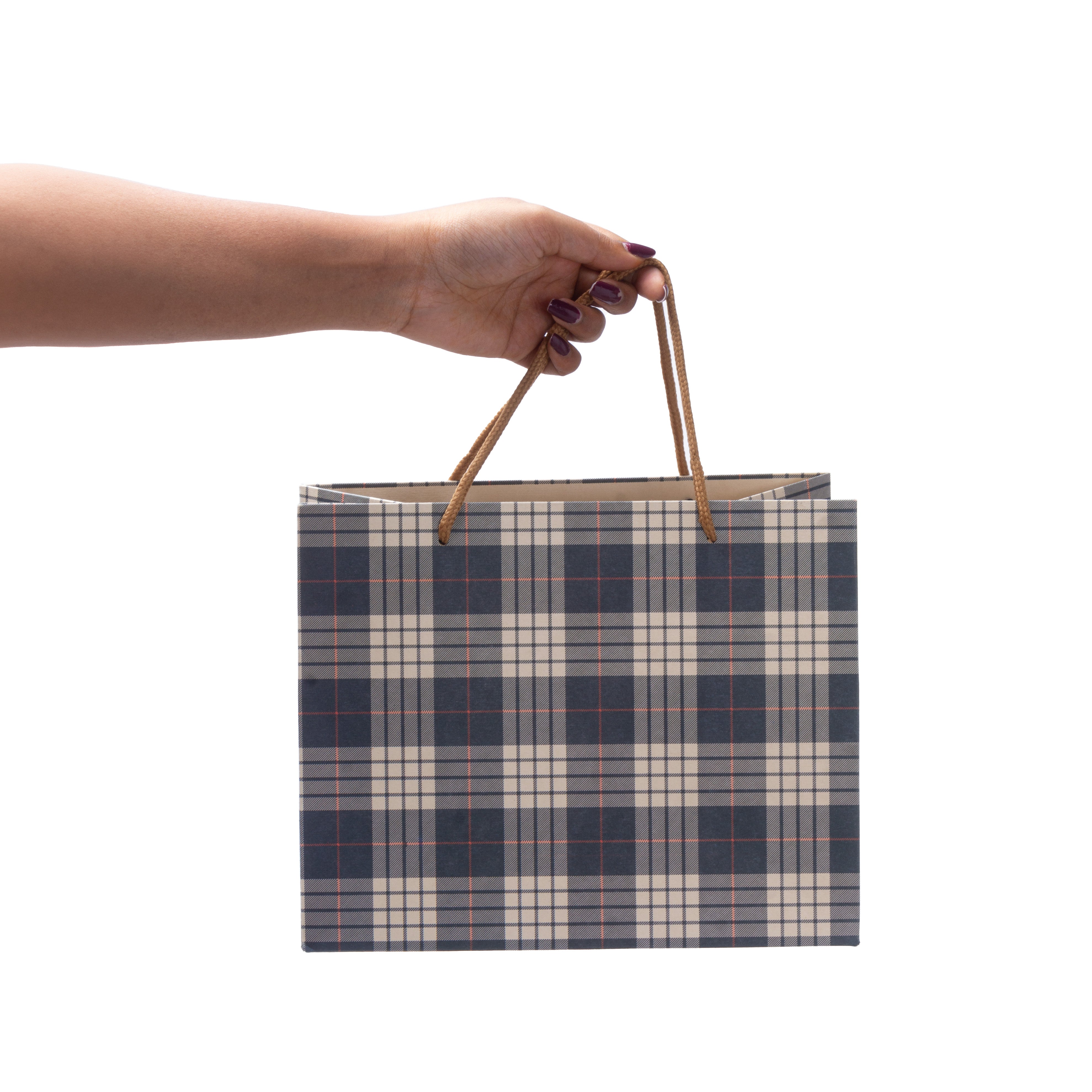 Paper Gift Bag Plaid Blue 10x8inch 1pc