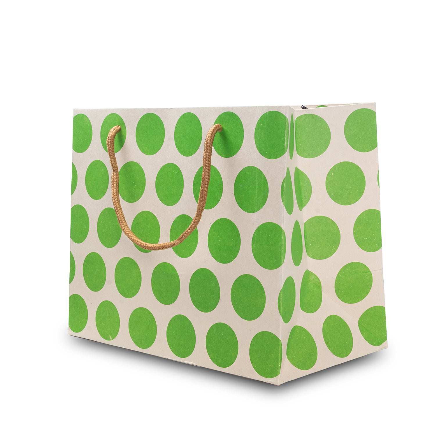 Paper Gift Bag Polka Dot Green 10x8inch 1pc