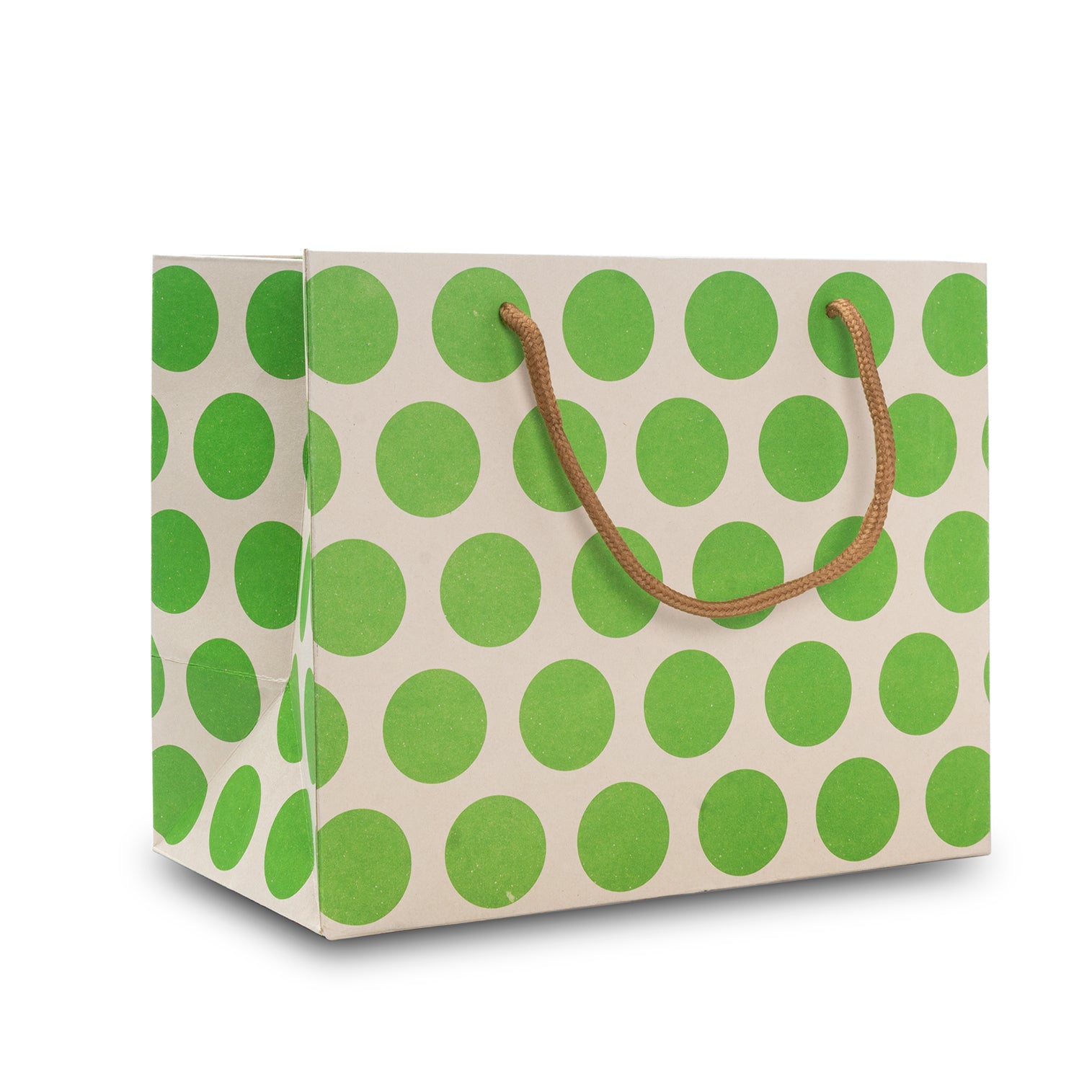 Paper Gift Bag Polka Dot Green 10x8inch 1pc