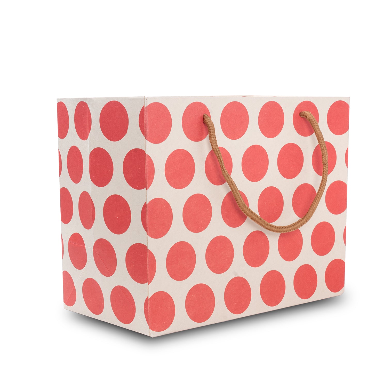 Paper Gift Bag Polka Dot Red 10x8inch 1pc