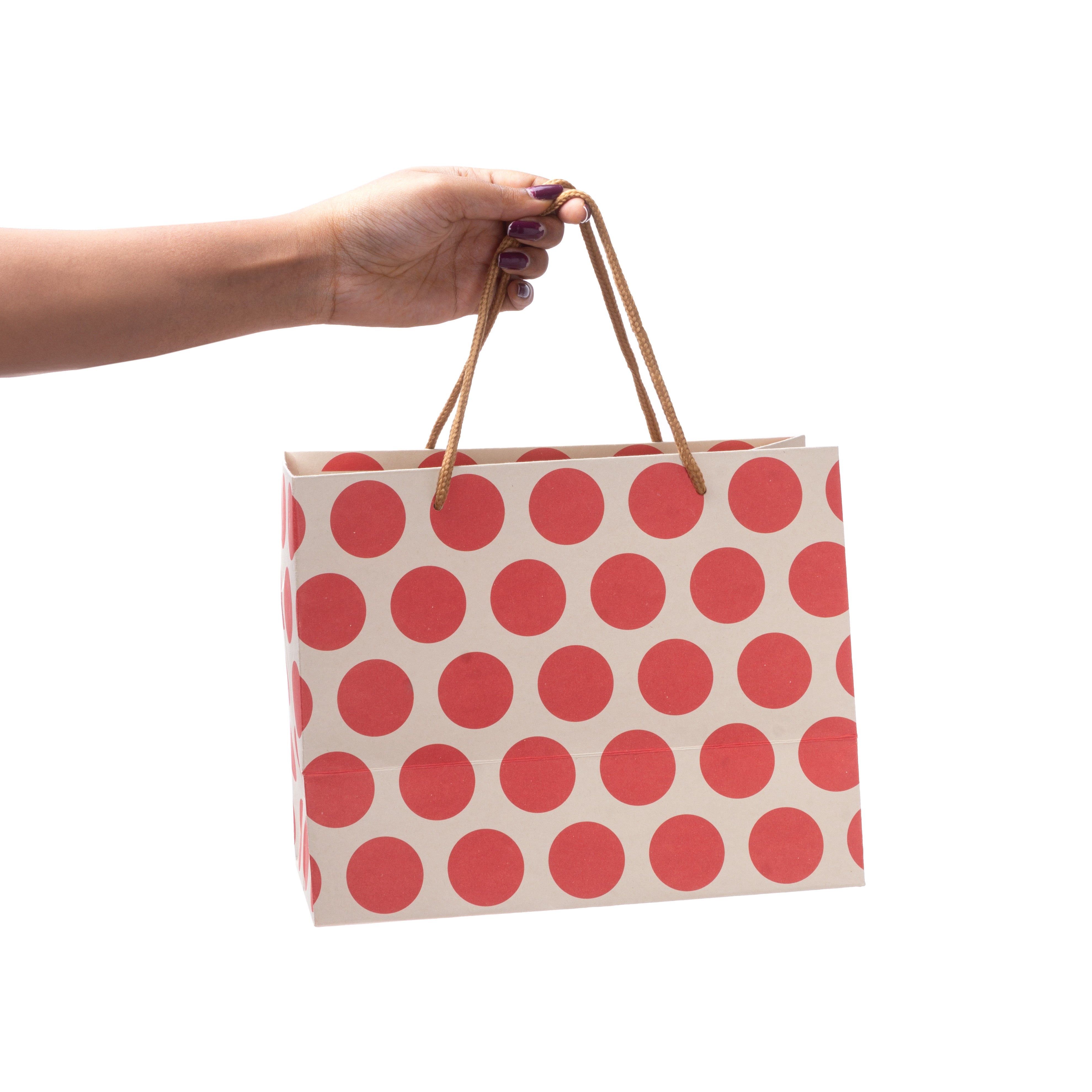 Paper Gift Bag Polka Dot Red 10x8inch 1pc