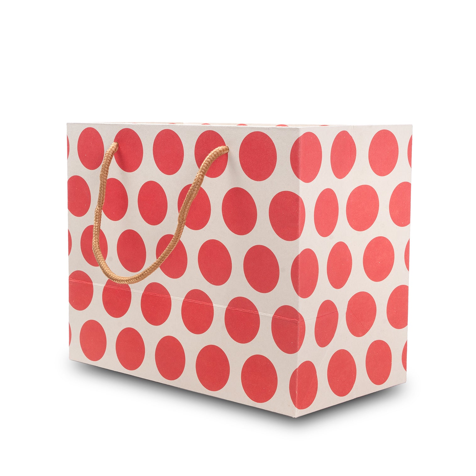 Paper Gift Bag Polka Dot Red 10x8inch 1pc