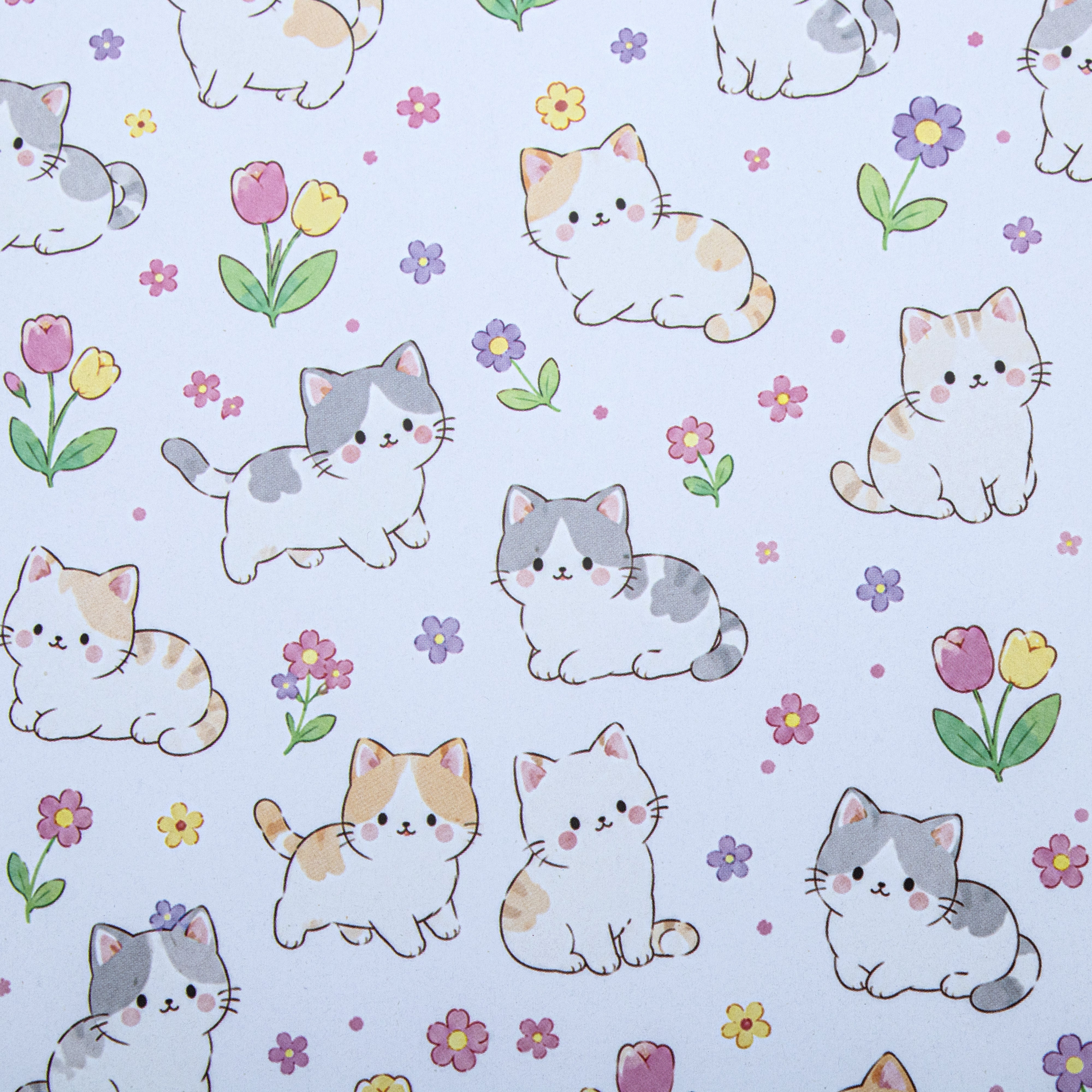 Gift Wrapping Paper Playful Kitty 27.75 x 19.29inch 1 Sheet