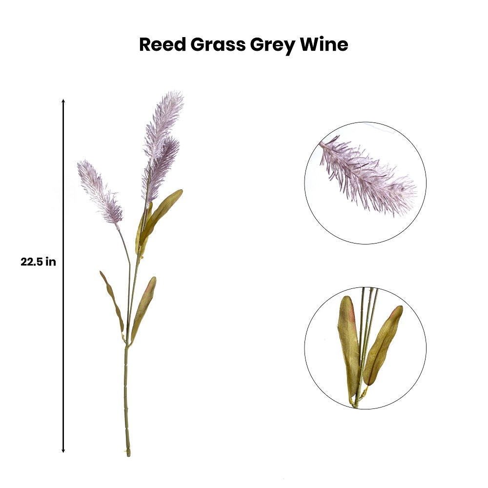 Artificial Flower Reed Grass Grey Wine 22.5Inch
