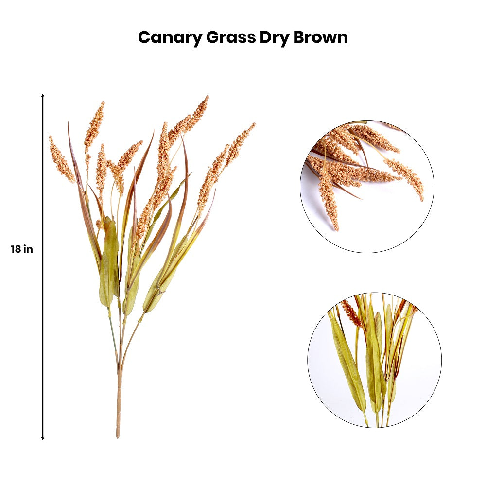 Artificial Flower Canary Grass Dry Brown 18Inch