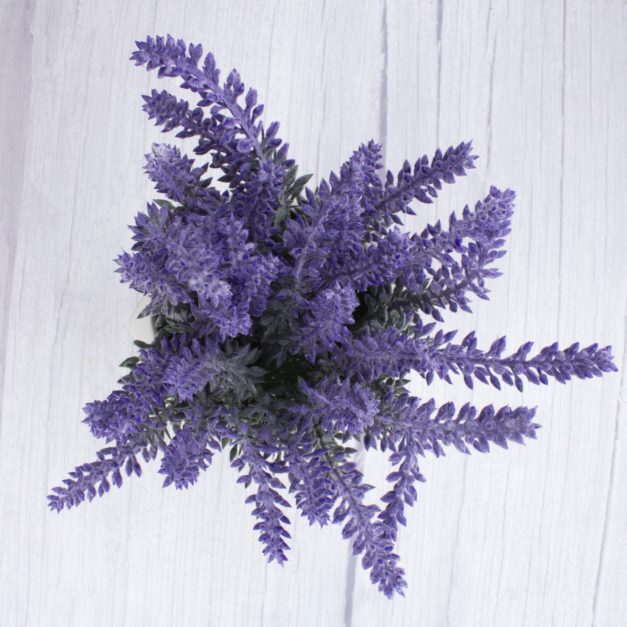 Artificial Lavender in Ceramic Pot Dia 11.5x7.5inch 1pc Box