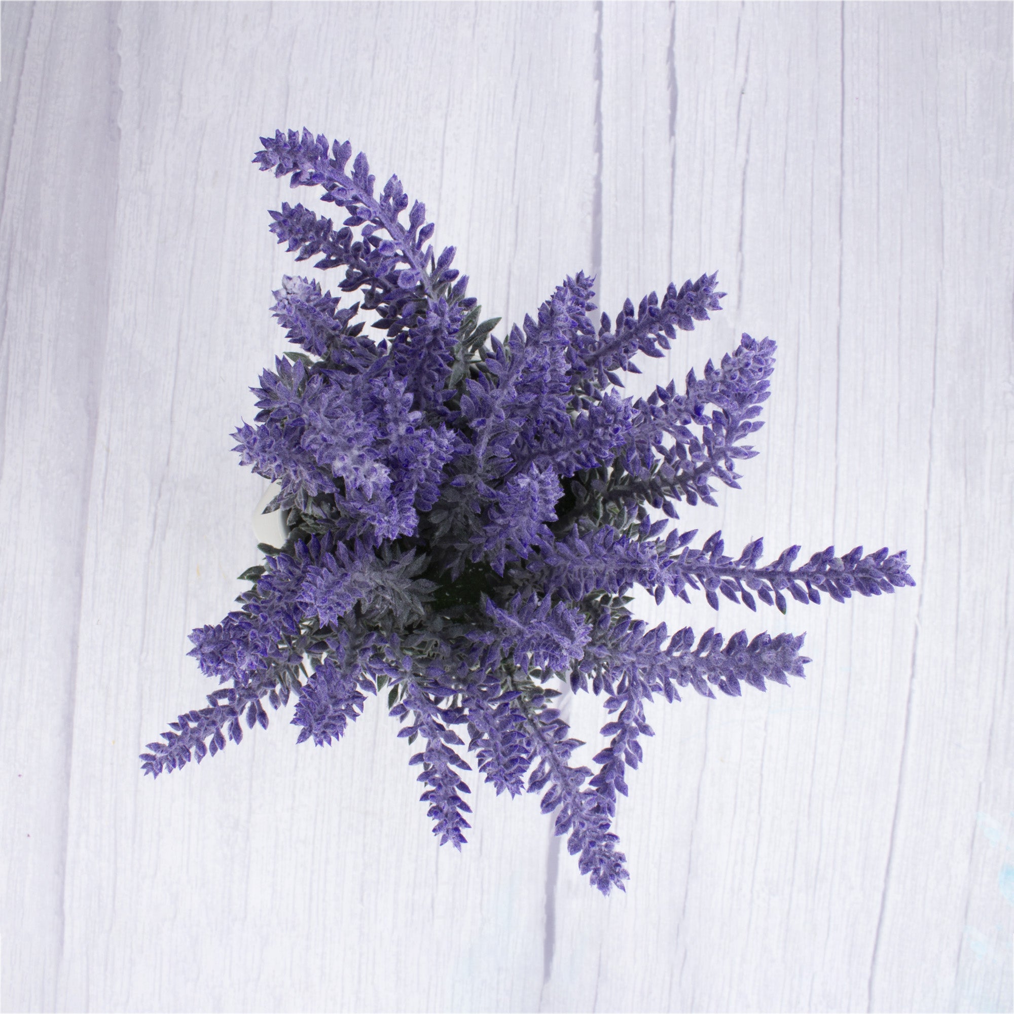 Artificial Lavender in Ceramic Pot Dia 11.5x7.5inch 1pc Box