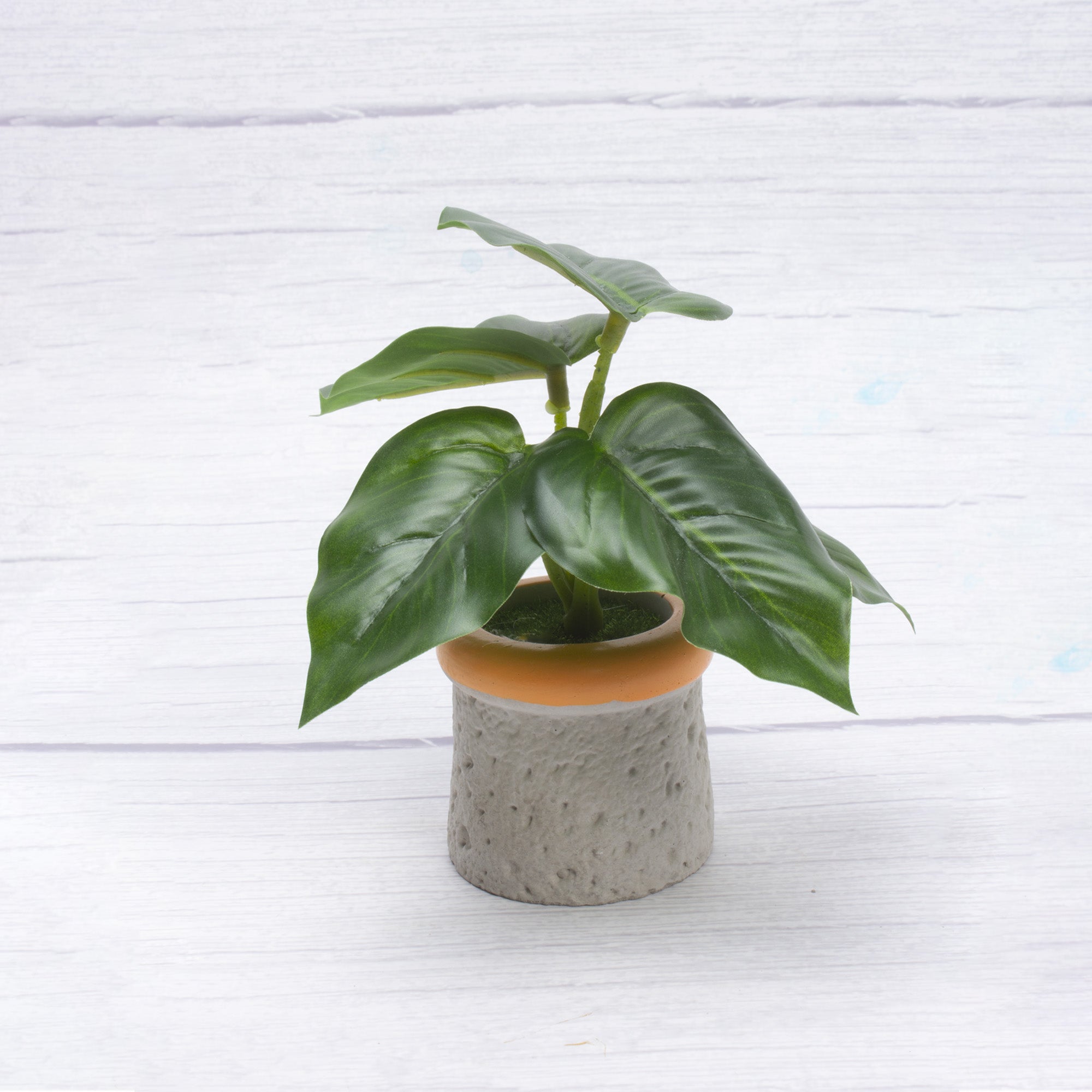 Artificial Green Genie Pothos in pot Dia 7x5inch 1pc