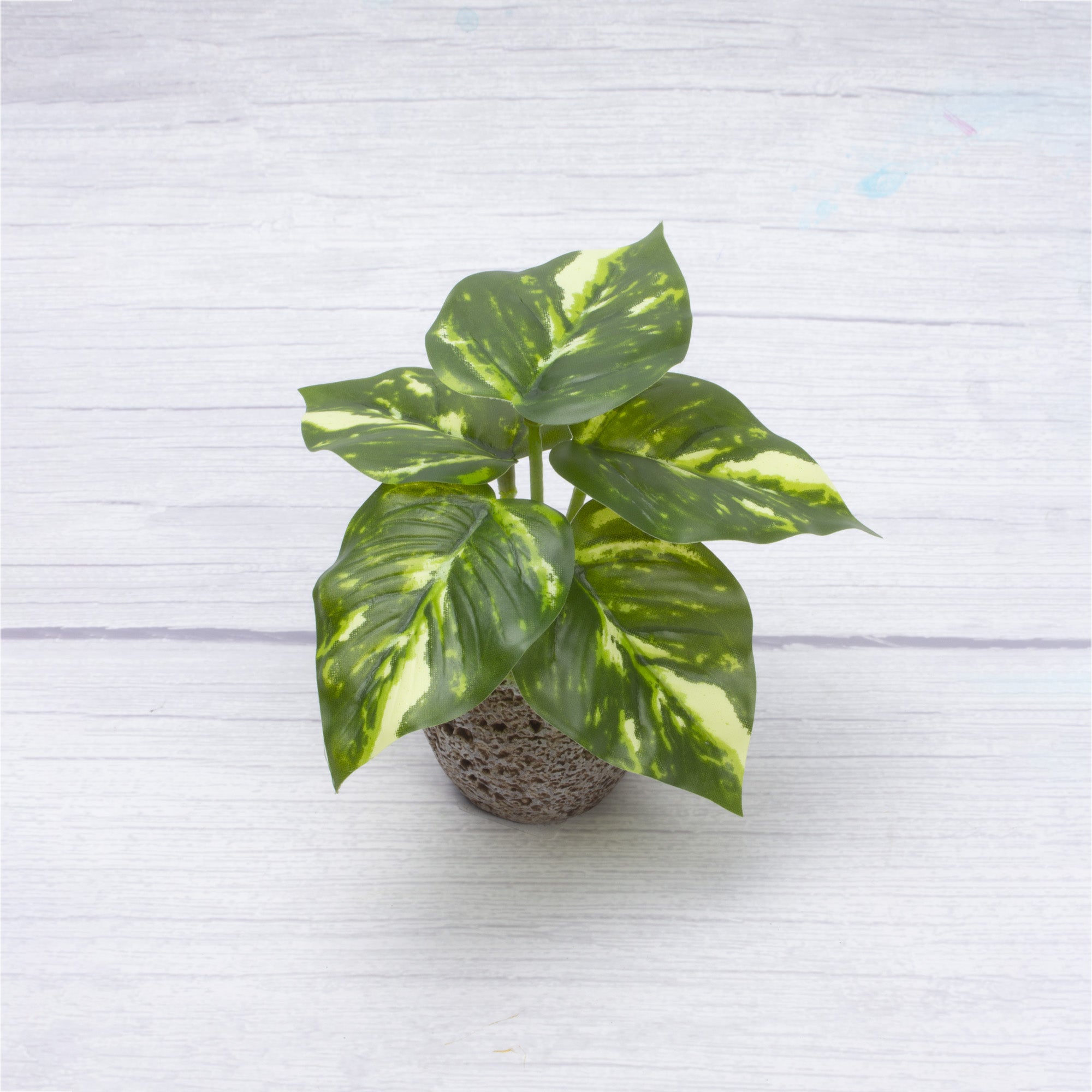 Artificial Jade Pothos in pot Dia 6.5x5inch 1pc