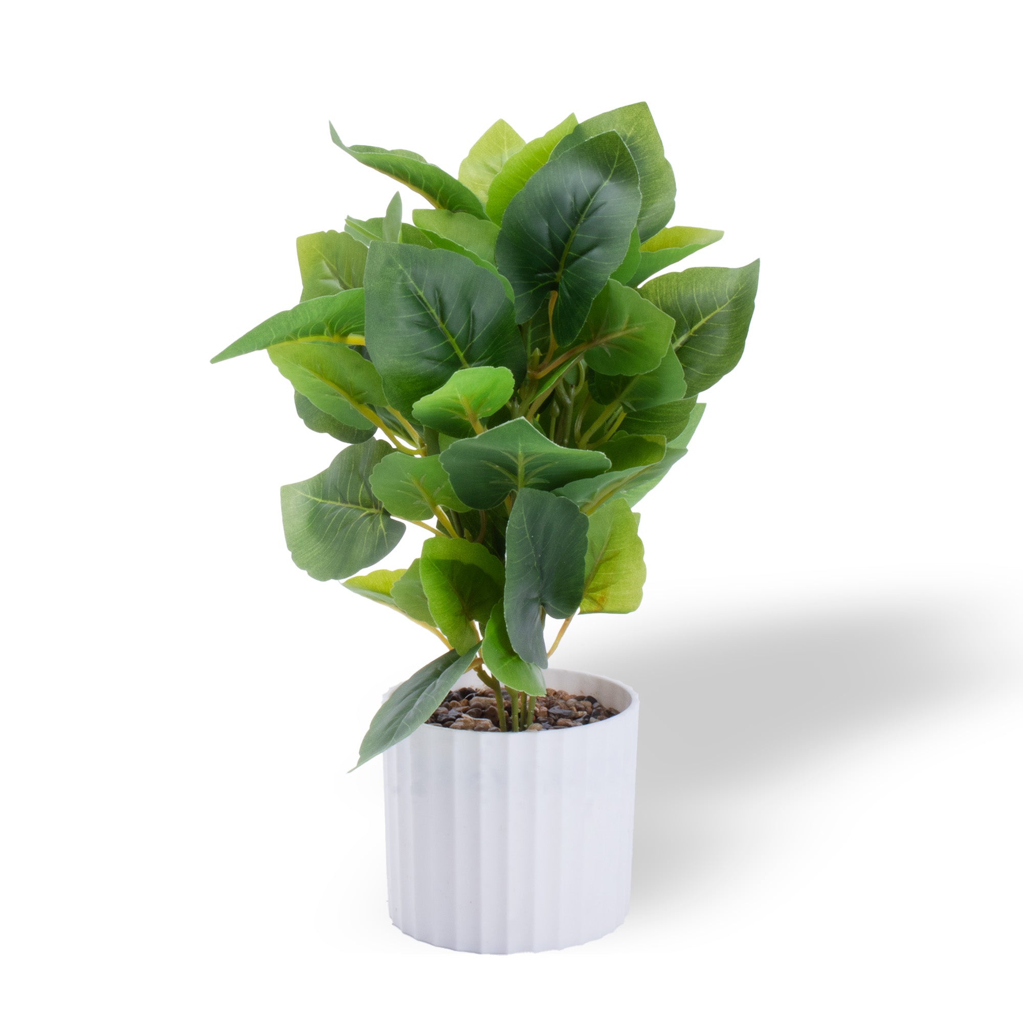 Artificial Money Plant in Pot Green 12X7inch 1pc