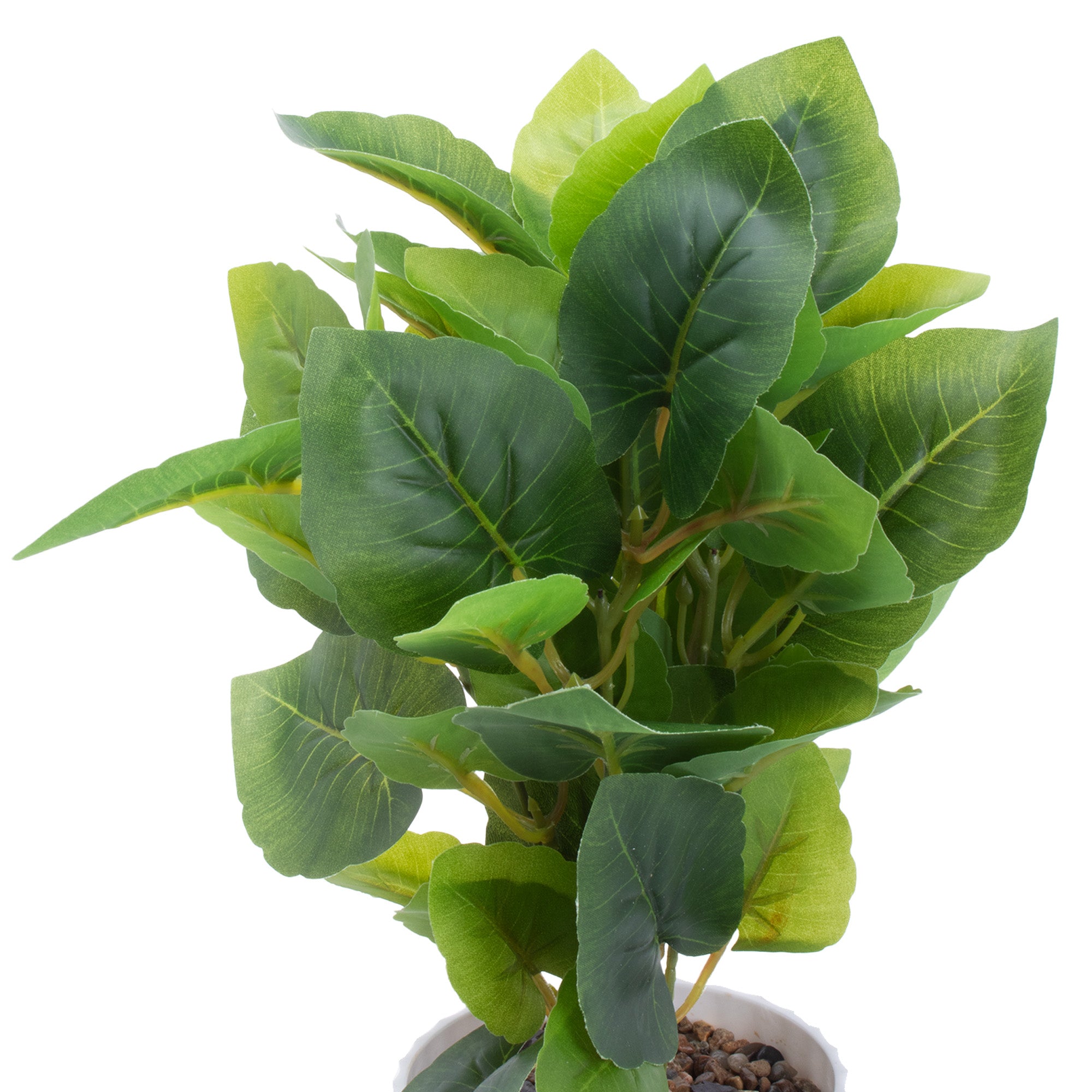 Artificial Money Plant in Pot Green 12X7inch 1pc