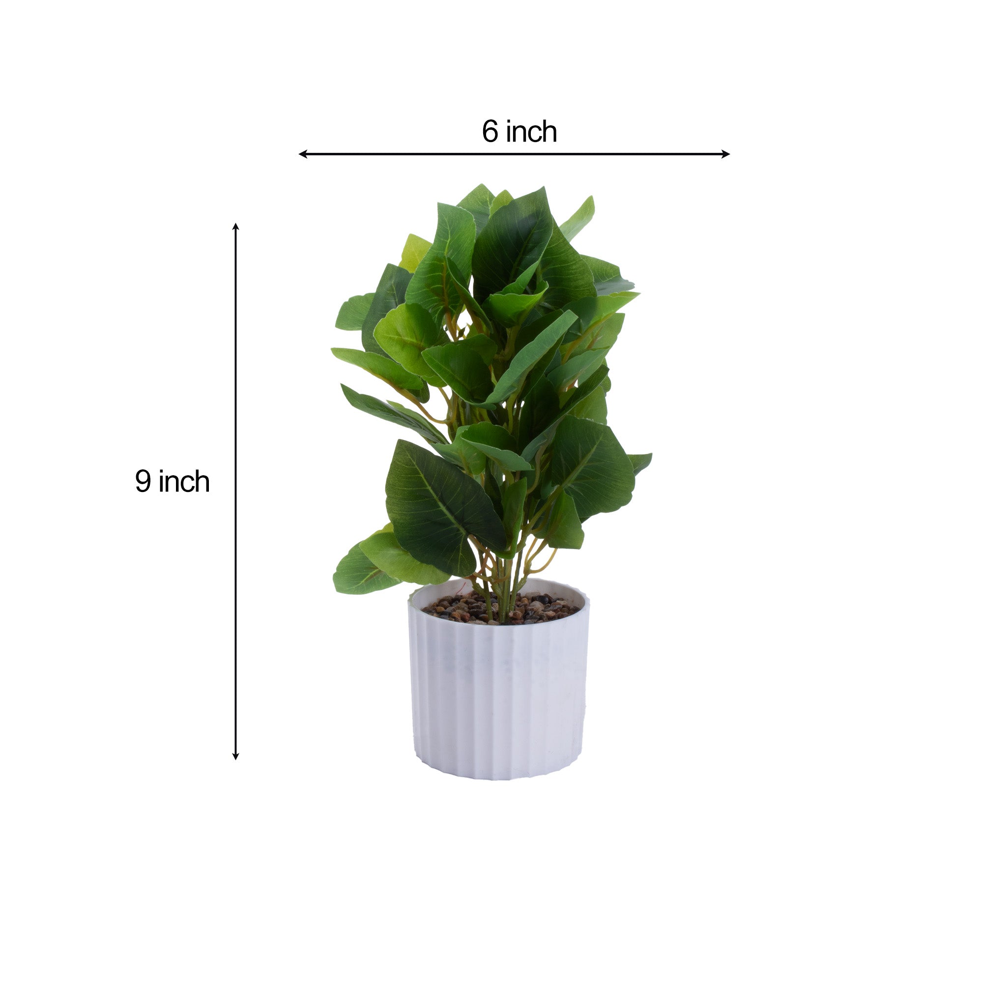 Artificial Money Plant in Pot Green 12X7inch 1pc