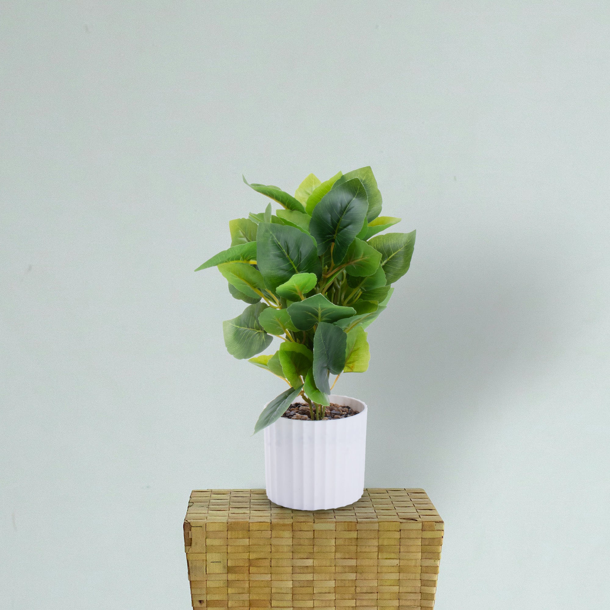 Artificial Money Plant in Pot Green 12X7inch 1pc