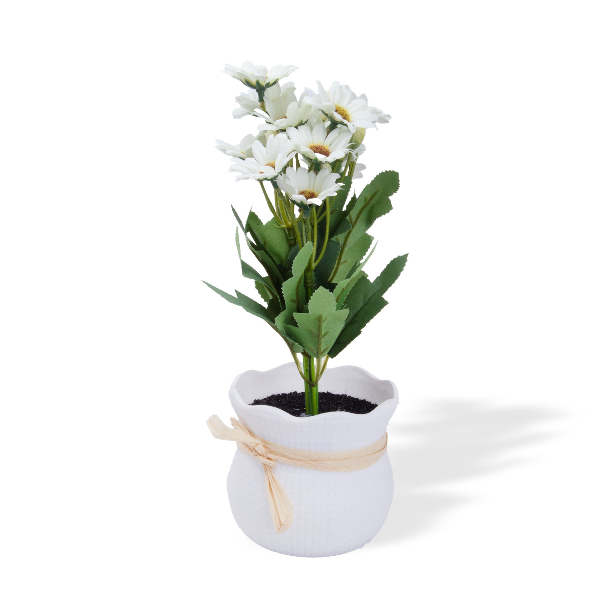 Artificial Flower in Pot African Daisy White 11X6inch 1pc