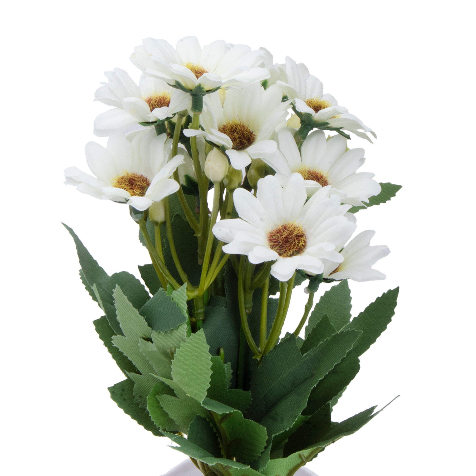 Artificial Flower in Pot African Daisy White 11X6inch 1pc