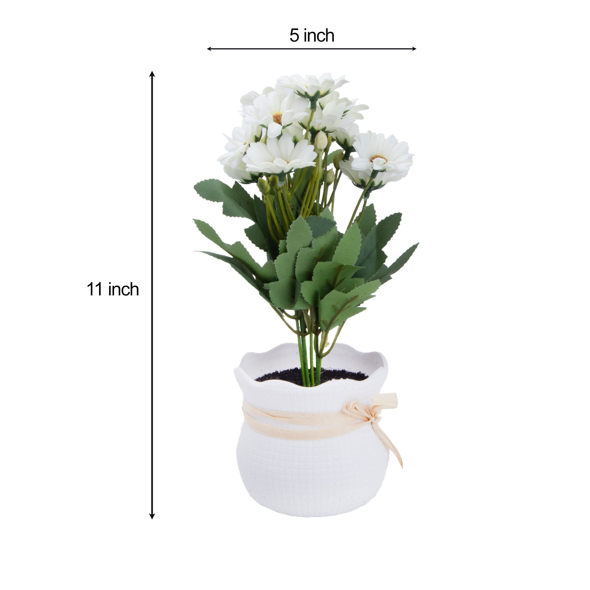 Artificial Flower in Pot African Daisy White 11X6inch 1pc