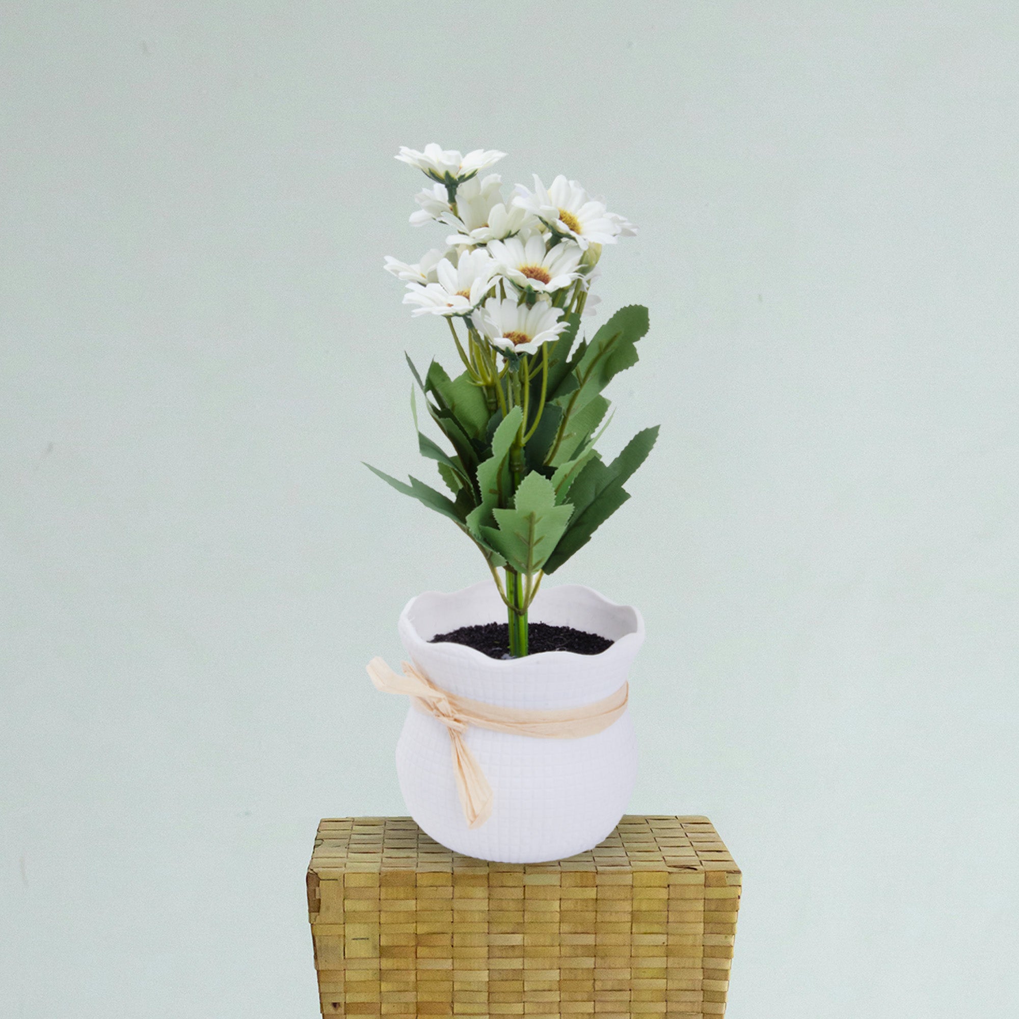 Artificial Flower in Pot African Daisy White 11X6inch 1pc