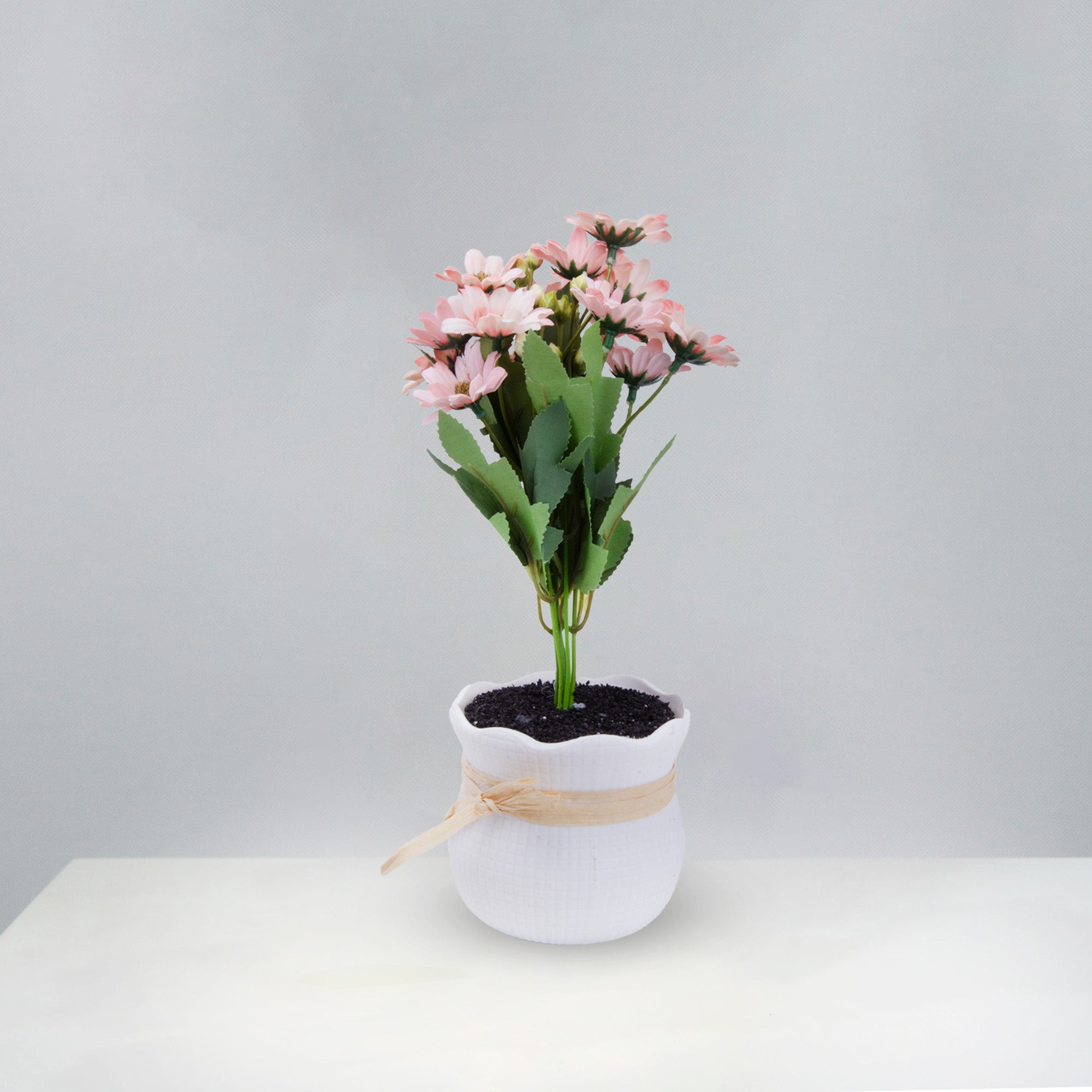 Artificial Flower in Pot African Daisy Soft Pink 11X6inch 1pc