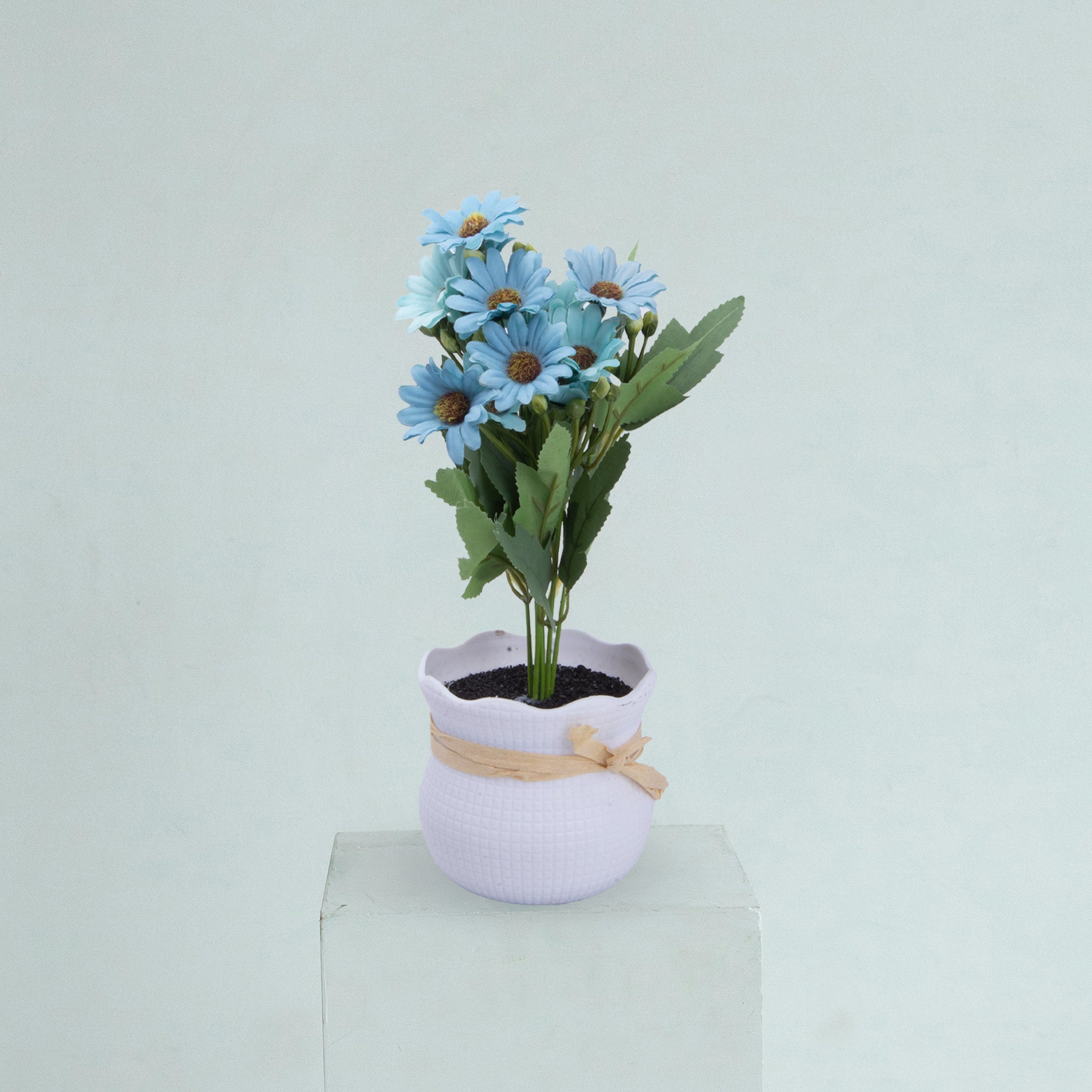 Artificial Flower in Pot African Daisy Light Blue 11X6inch 1pc