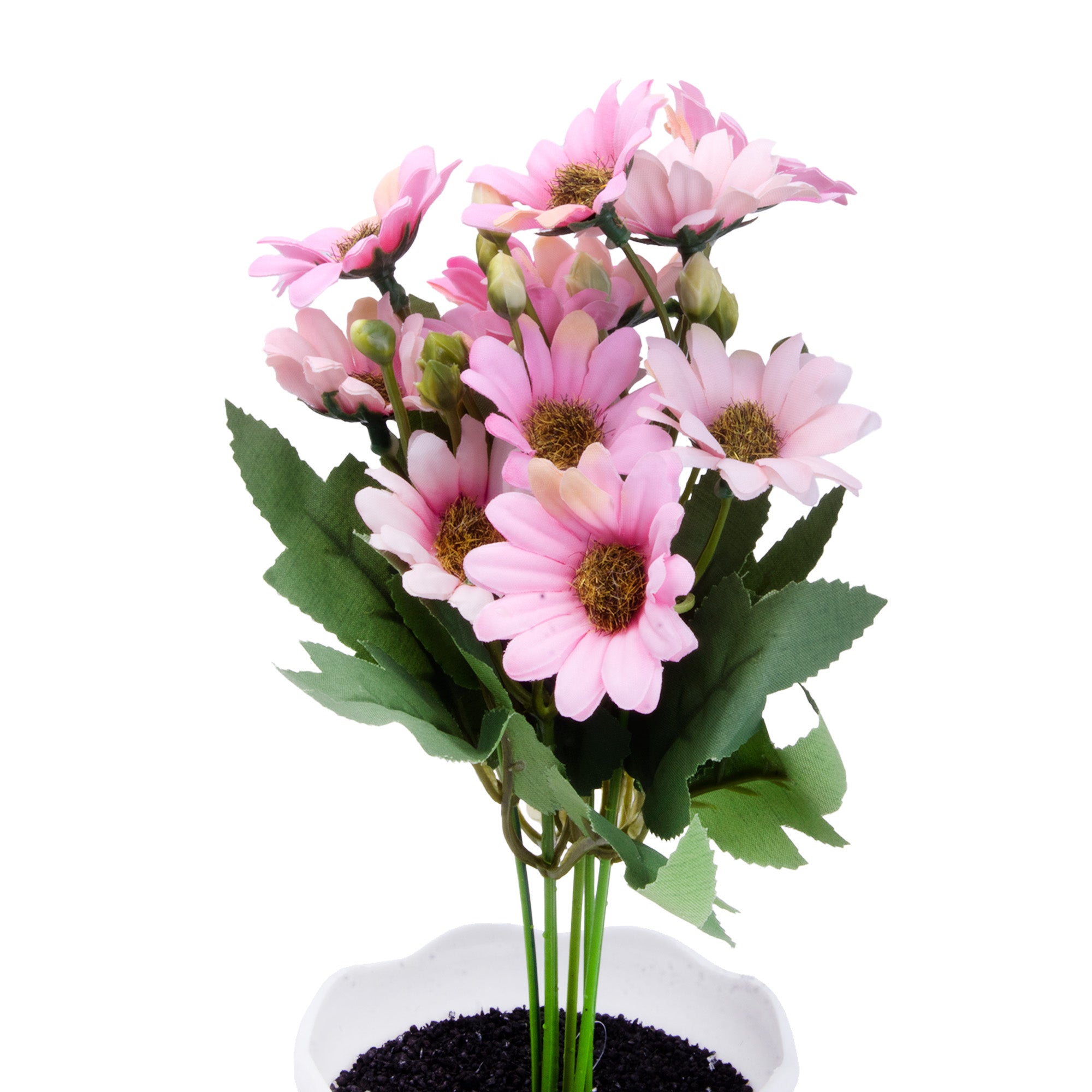 Artificial Flower in Pot African Daisy Coral pink 11X6inch 1pc