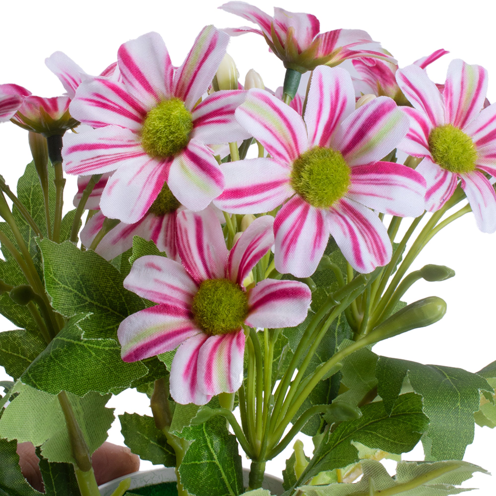 Artificial Flower in Pot Daisy White and pink 8X7inch 1pc