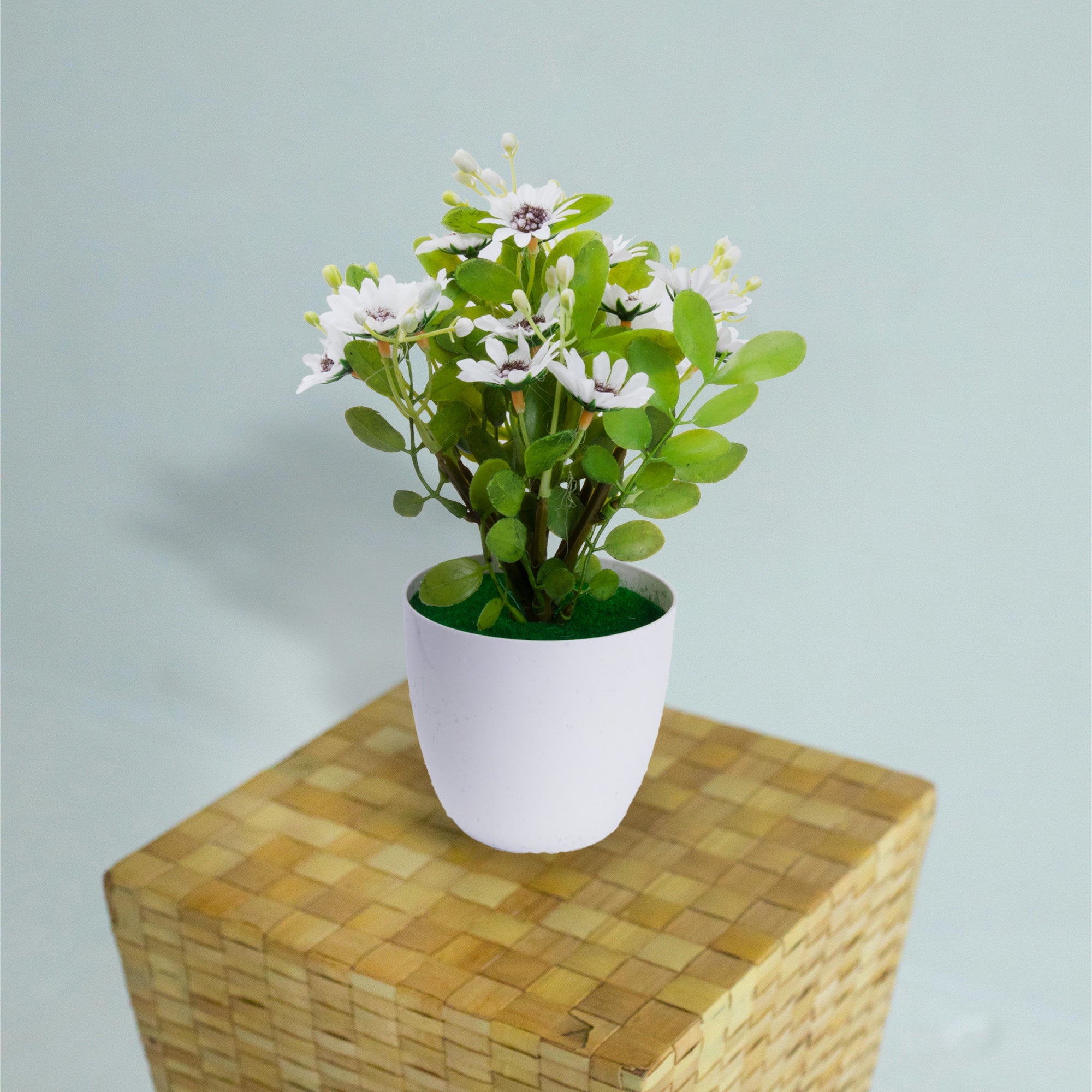 Artificial Flower in Pot Daisy Vine White 9X6.5inch 1pc